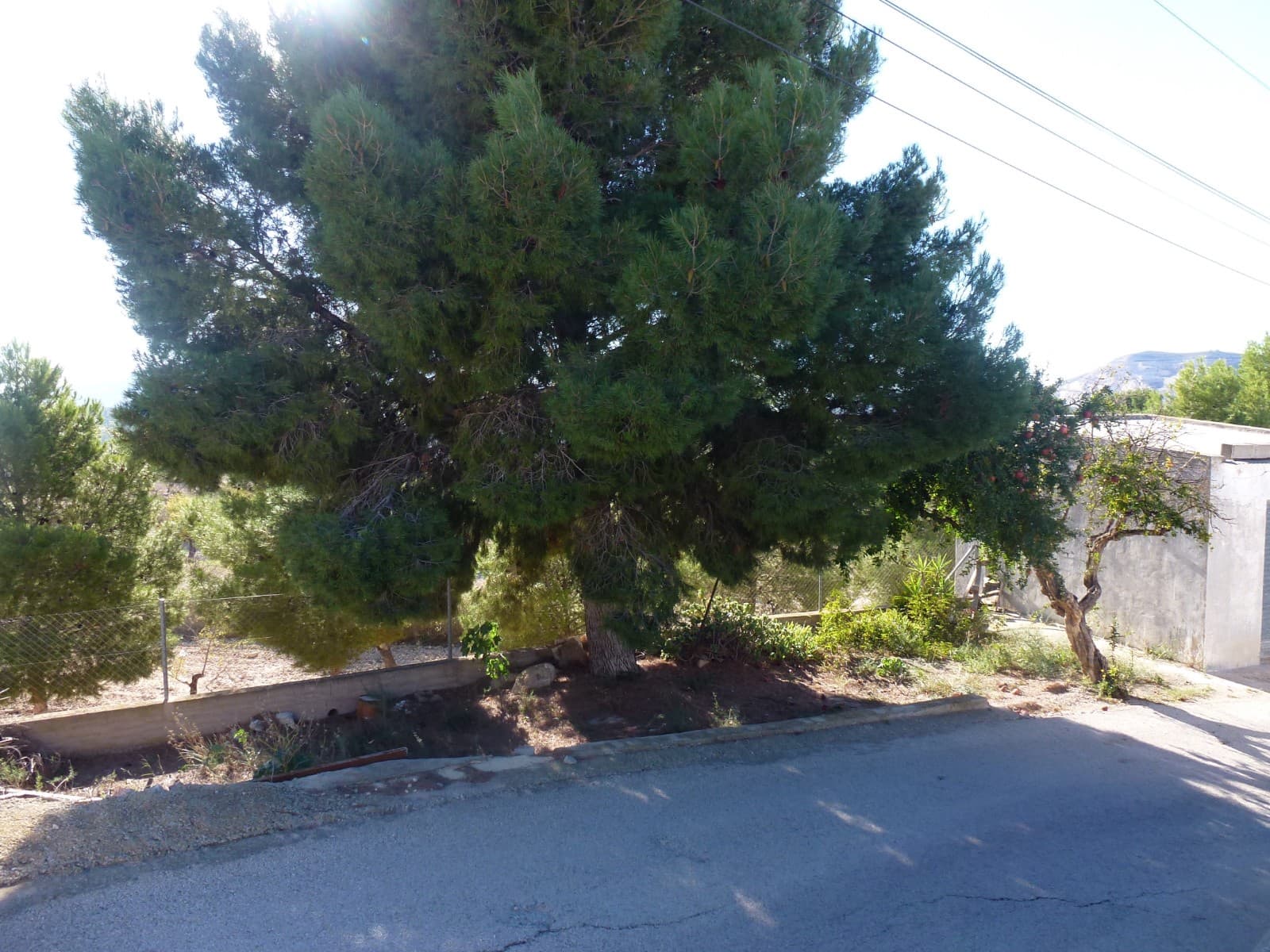 3 sypialnia Finka/Dom wiejski na sprzedaż w La Canalosa z basenem garażem - 139 995 € (Ref: 9363507)