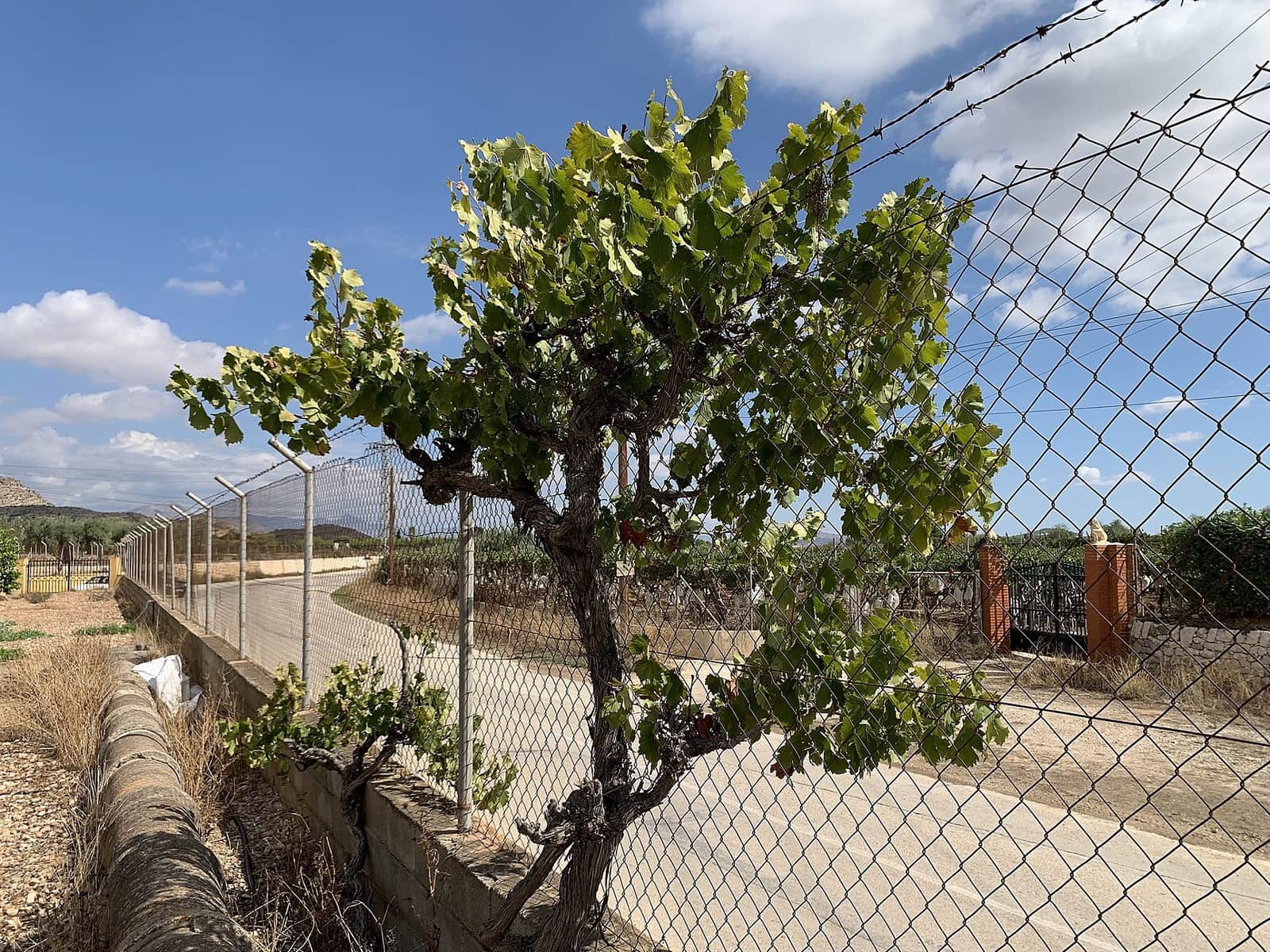 4 makuuhuone Huvila myytävänä paikassa Aspe mukana uima-altaan - 249 950 € (Ref: 9363533)