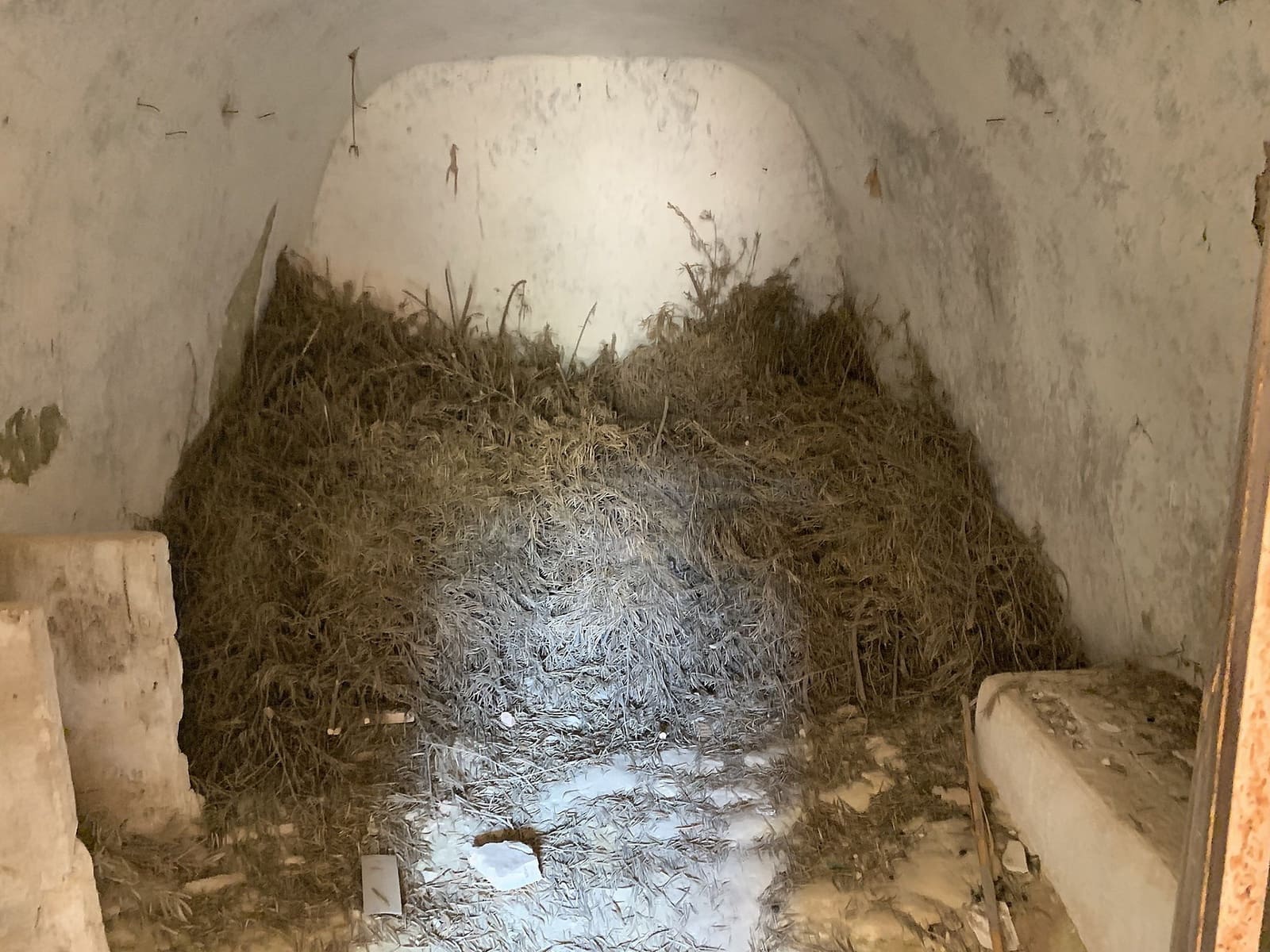 5 Zimmer Höhle zu verkaufen in Macisvenda mit Pool - 29.000 € (Ref: 9363534)