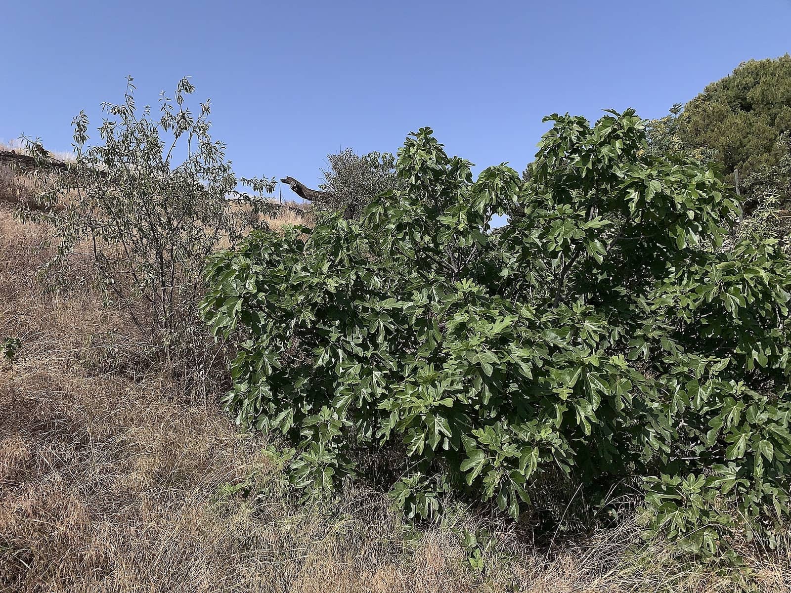 3 bedroom Townhouse for sale in Casas del Senor with pool garage - € 98,000 (Ref: 9363537)