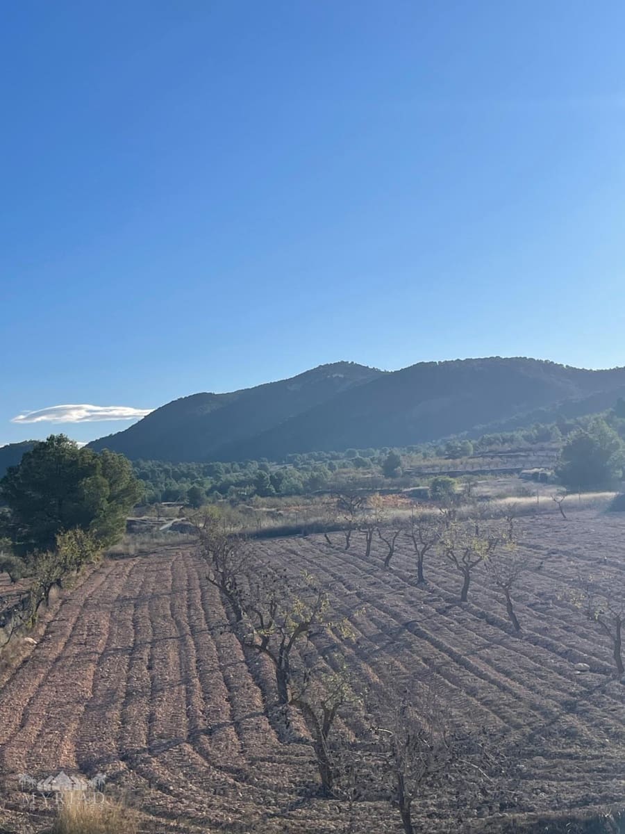 6 bedroom Villa for sale in Pinoso with pool - € 649,995 (Ref: 9441063)