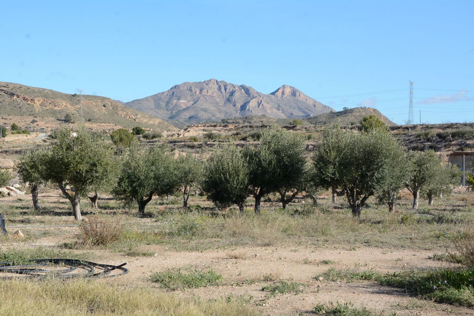 3 sypialnia Willa na sprzedaż w Abanilla z basenem garażem - 349 000 € (Ref: 9500803)