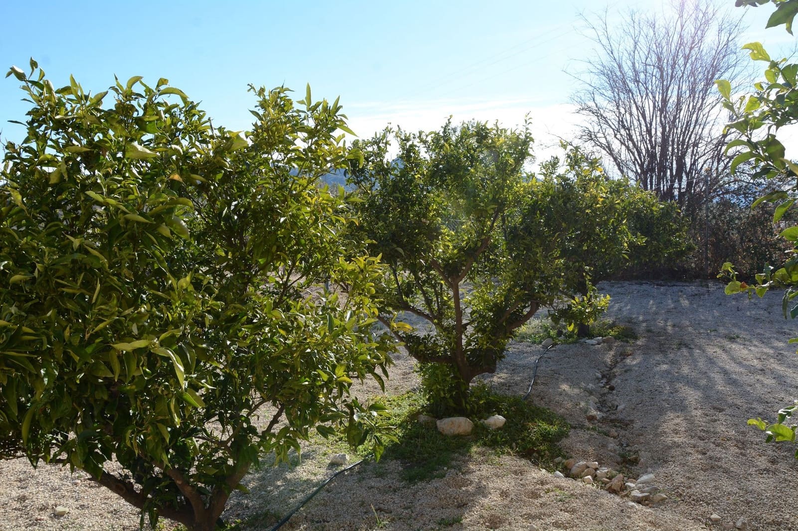 3 sypialnia Willa na sprzedaż w Abanilla z basenem garażem - 349 000 € (Ref: 9500803)