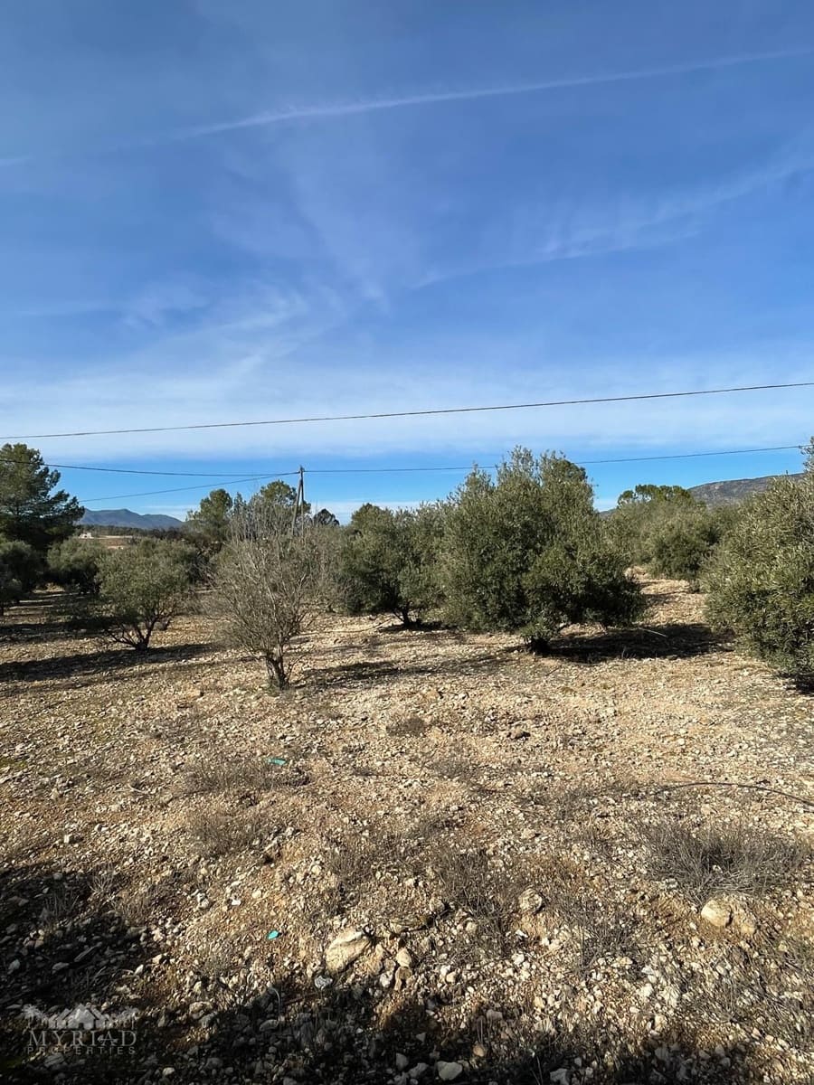 2 bedroom Finca/Country House for sale in Pinoso with pool - € 97,500 (Ref: 9559353)