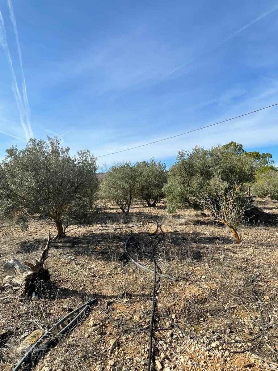 2 bedroom Finca/Country House for sale in Pinoso with pool - € 97,500 (Ref: 9559353)