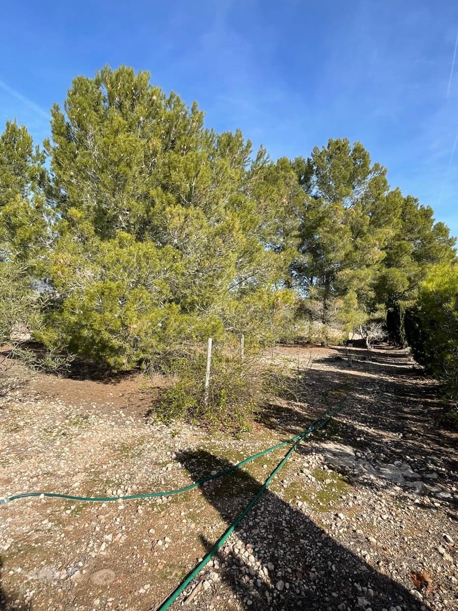 2 bedroom Finca/Country House for sale in Pinoso with pool - € 97,500 (Ref: 9559353)