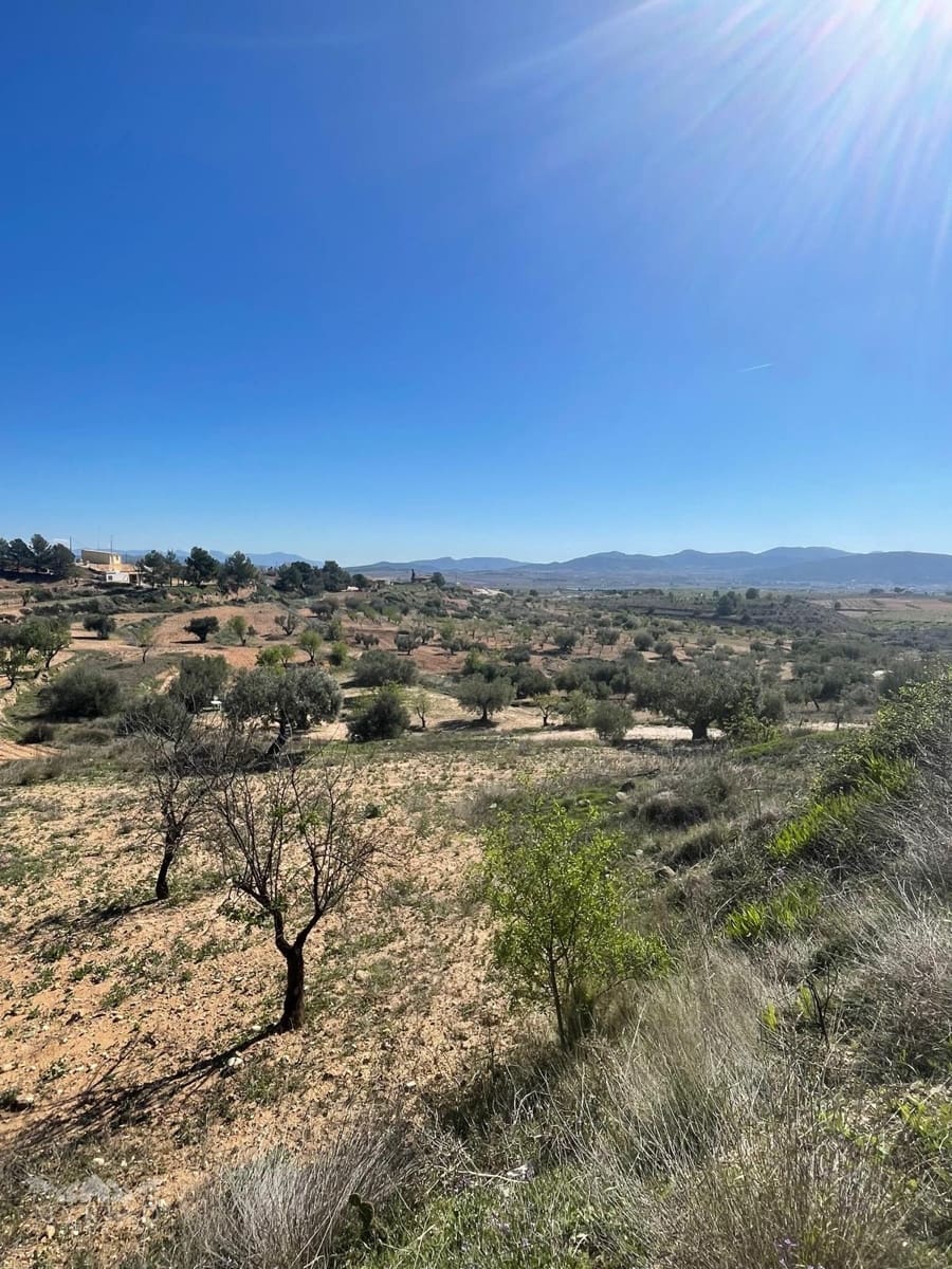 3 chambre Maison Troglodyte à vendre à Pinoso avec piscine - 135 995 € (Ref: 9749404)