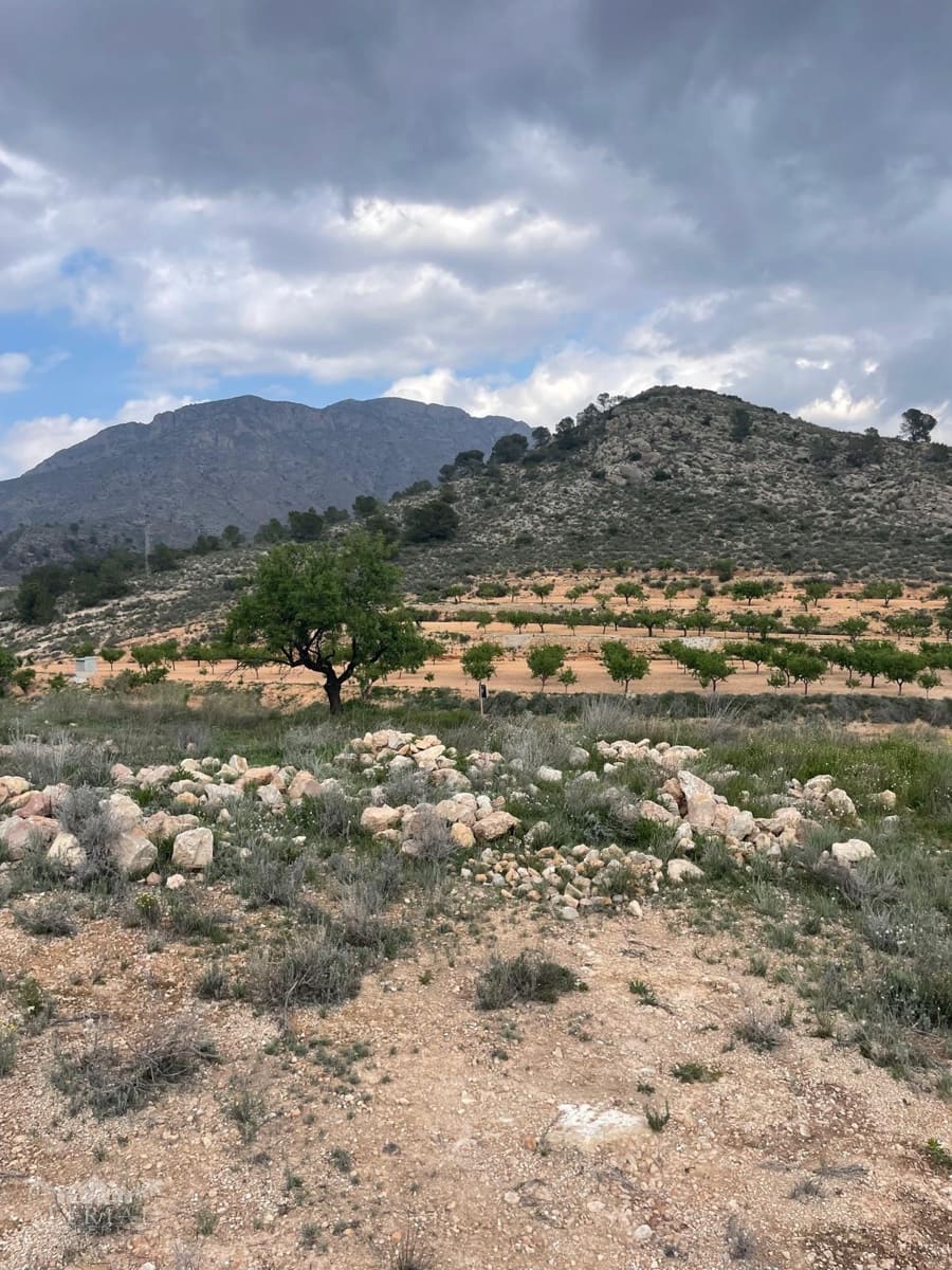 2 Zimmer Höhle zu verkaufen in Barinas mit Pool - 67.000 € (Ref: 9749408)