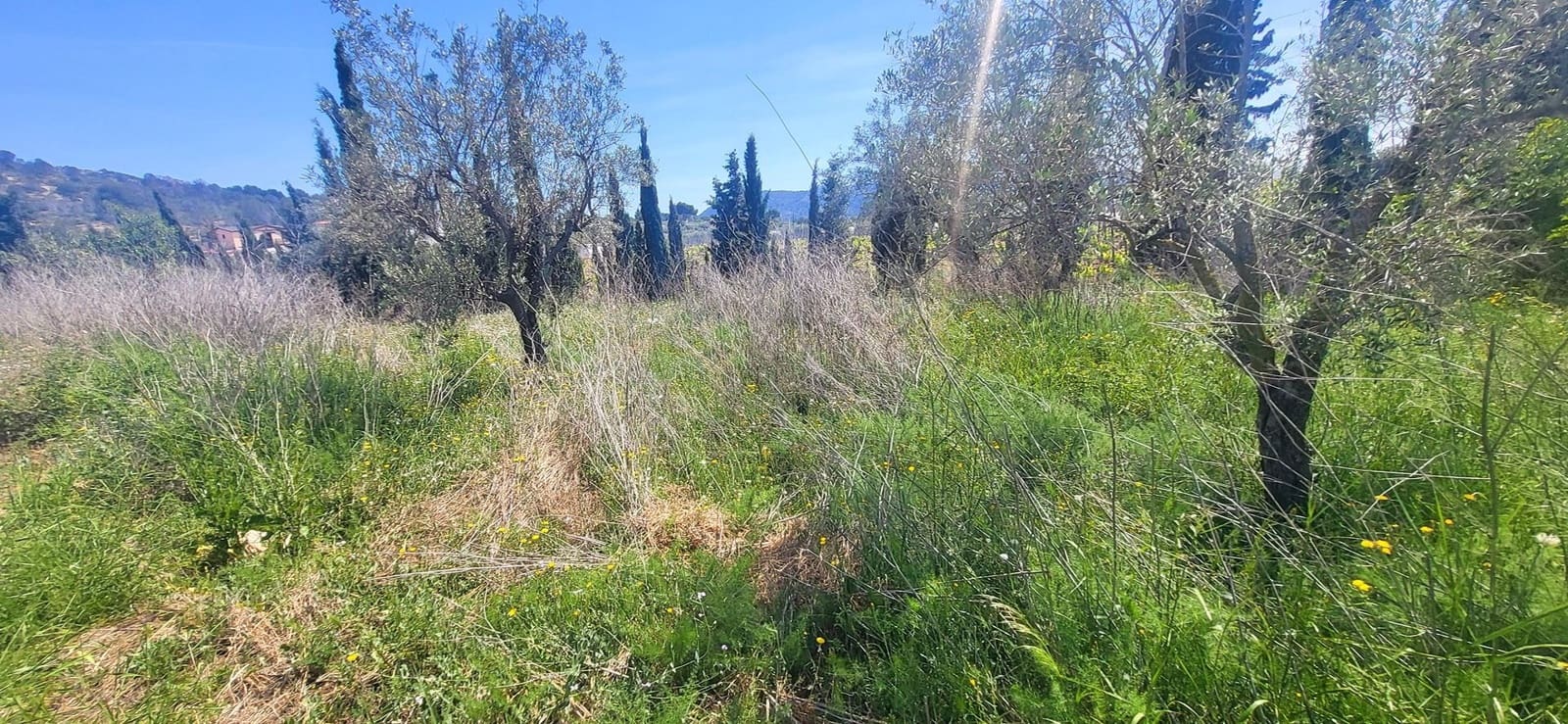 3 chambre Villa/Maison à vendre à La Romana avec piscine - 279 999 € (Ref: 9795394)