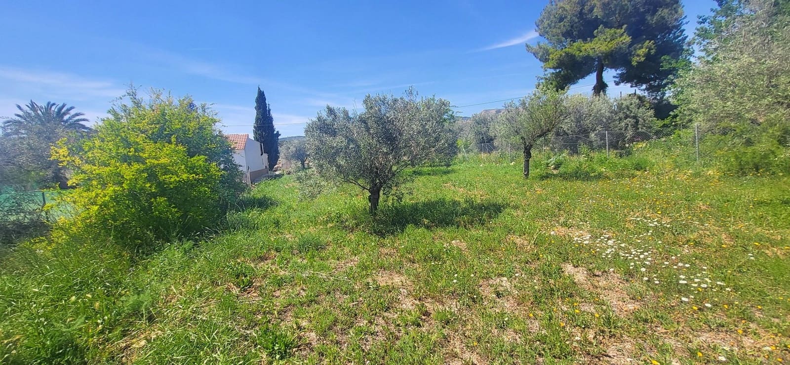 3 chambre Villa/Maison à vendre à La Romana avec piscine - 279 999 € (Ref: 9795394)