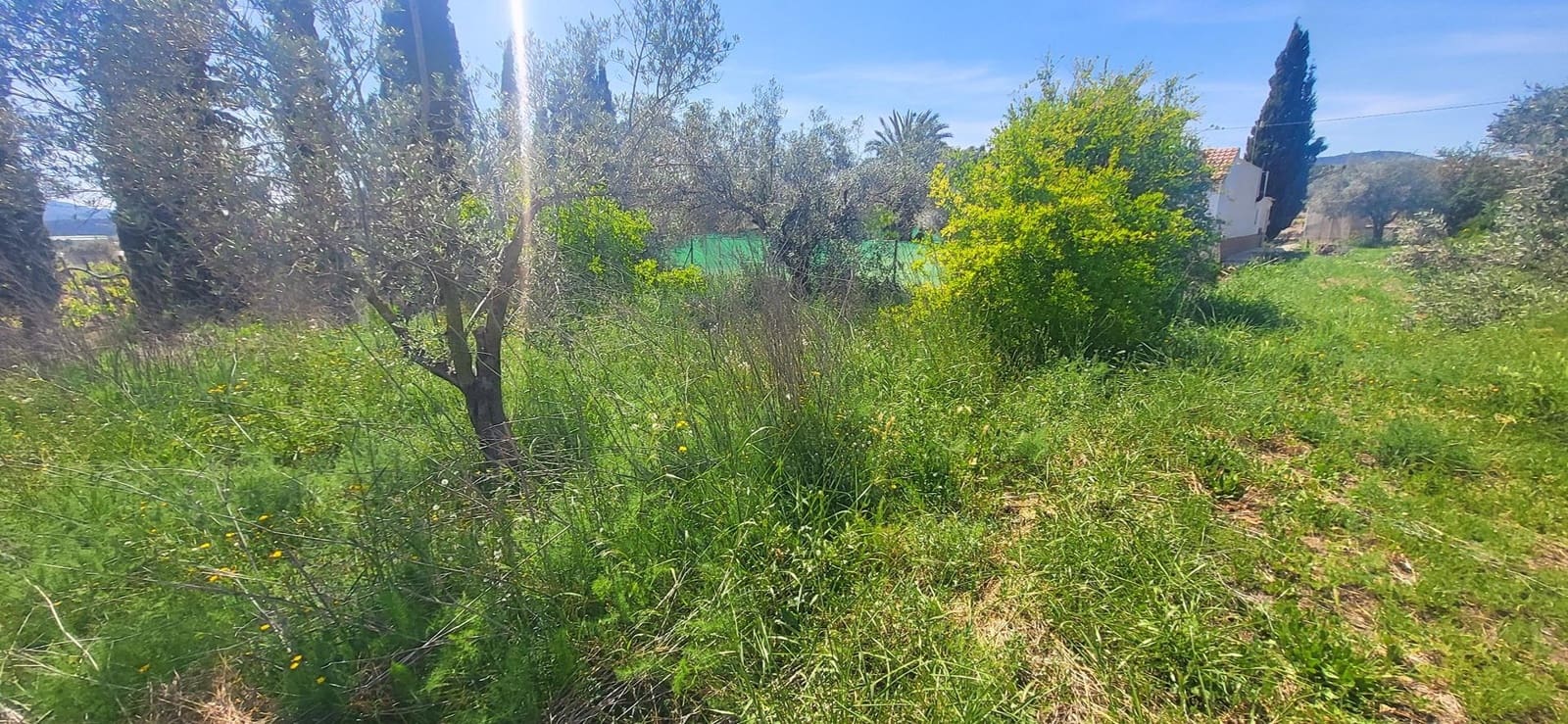 3 chambre Villa/Maison à vendre à La Romana avec piscine - 279 999 € (Ref: 9795394)