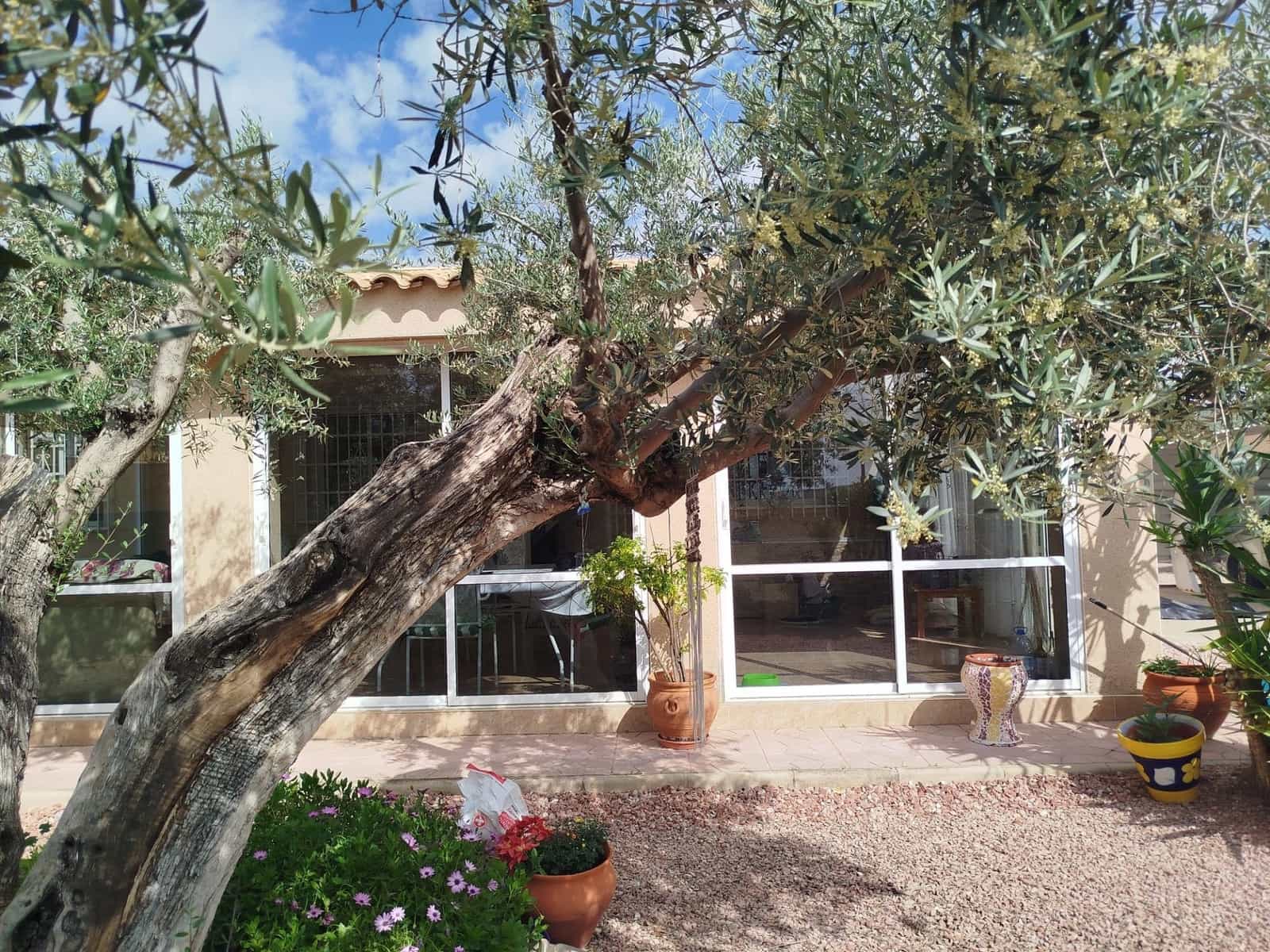 3 bedroom Villa for sale in La Romana with pool - € 290,000 (Ref: 9850186)