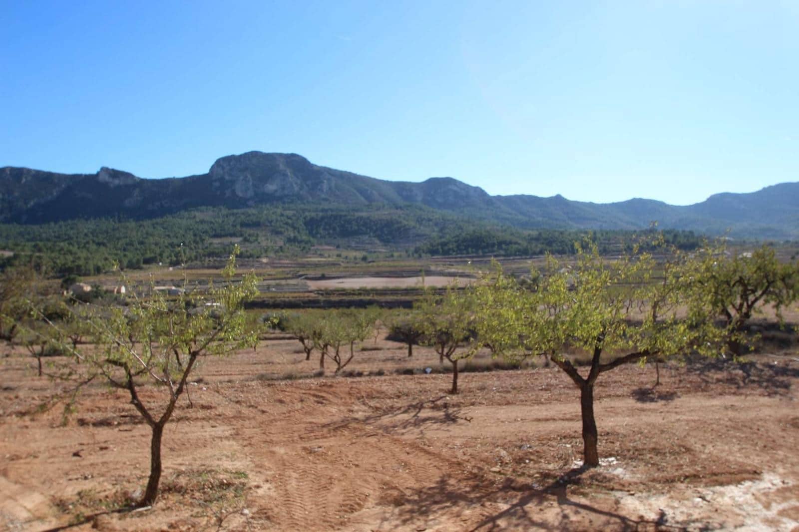 Chalet de 4 habitaciones en Hondón de las Nieves en venta con piscina - 310.924 € (Ref: 9858754)