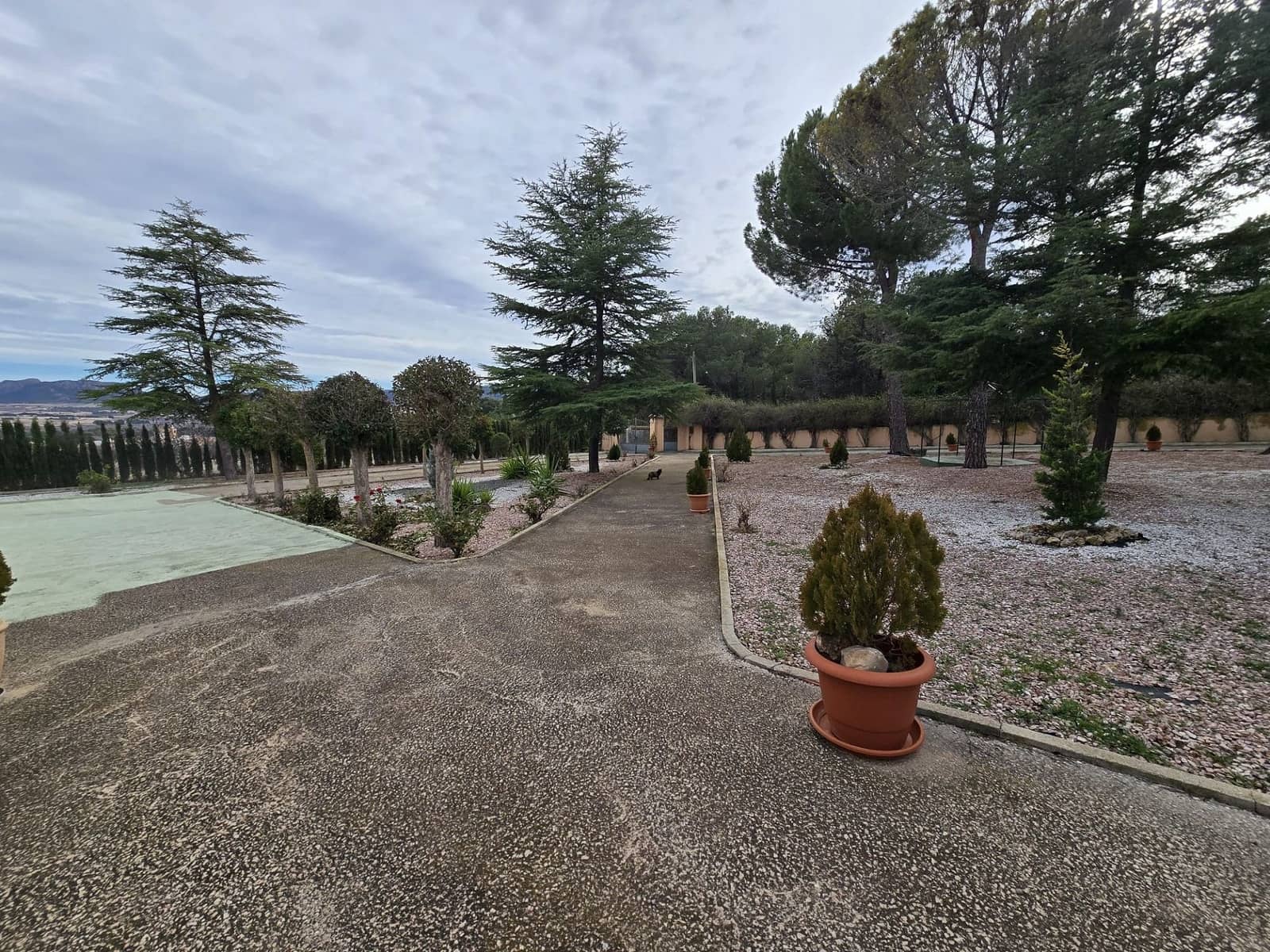 4 bedroom Finca/Country House for sale in Salinas with pool garage - € 470,000 (Ref: 9858759)