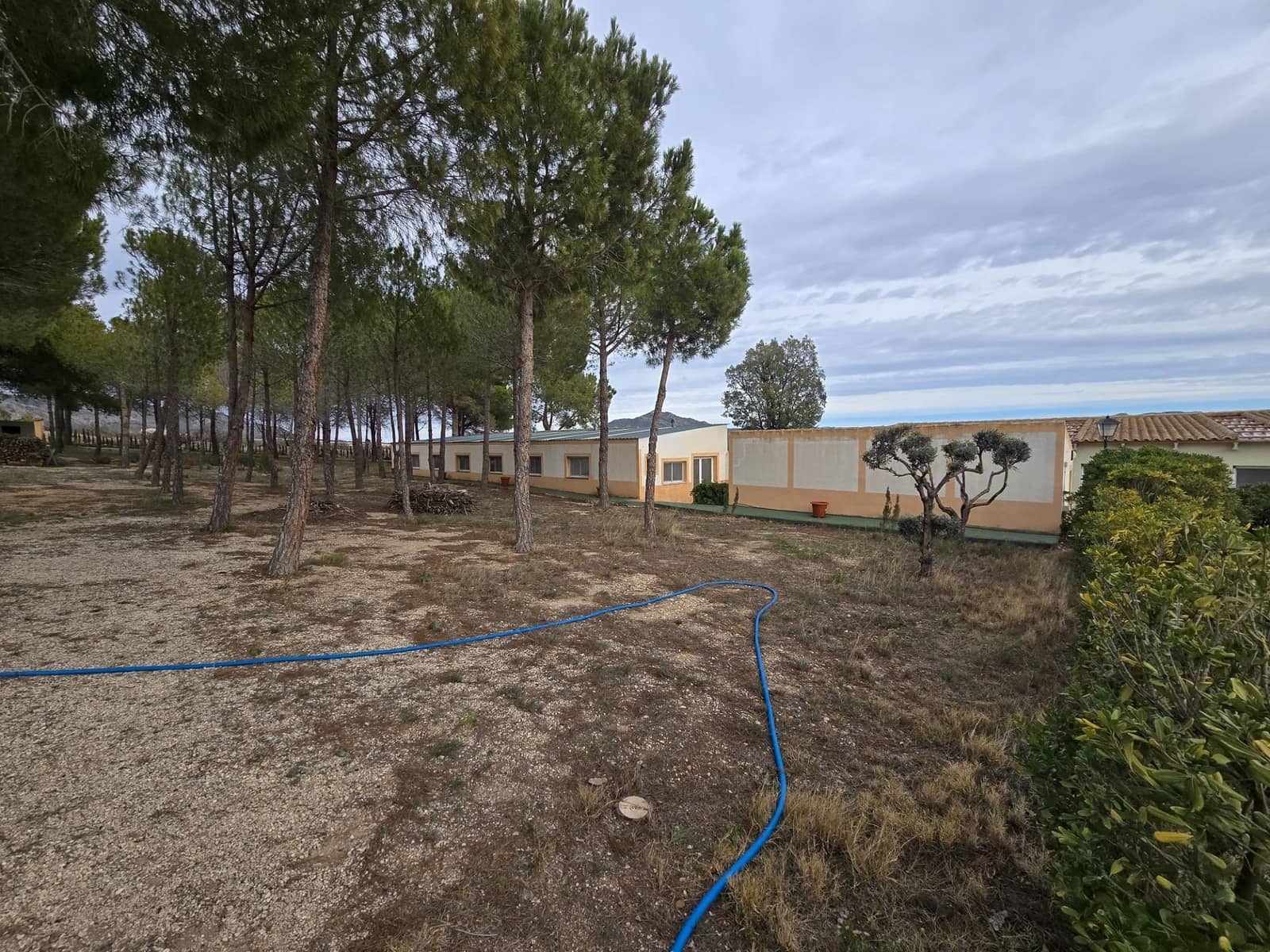 4 bedroom Finca/Country House for sale in Salinas with pool garage - € 470,000 (Ref: 9858759)