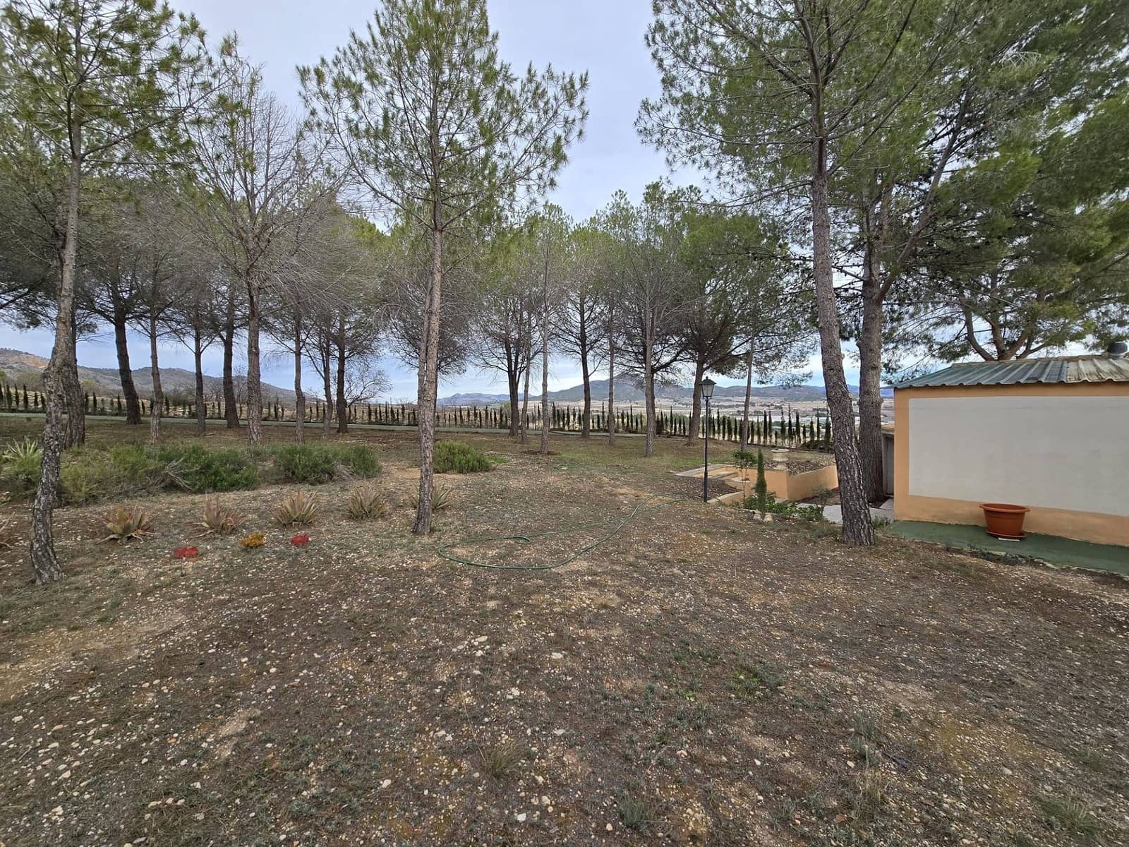 4 bedroom Finca/Country House for sale in Salinas with pool garage - € 470,000 (Ref: 9858759)