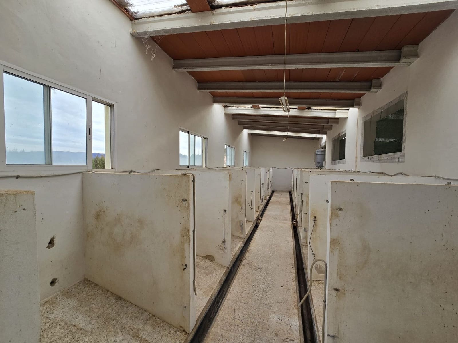 4 bedroom Finca/Country House for sale in Salinas with pool garage - € 470,000 (Ref: 9858759)