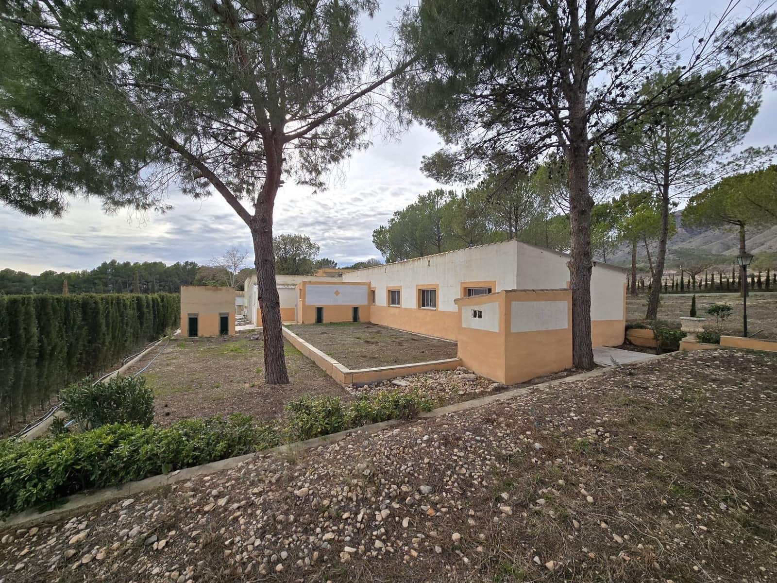 4 bedroom Finca/Country House for sale in Salinas with pool garage - € 470,000 (Ref: 9858759)
