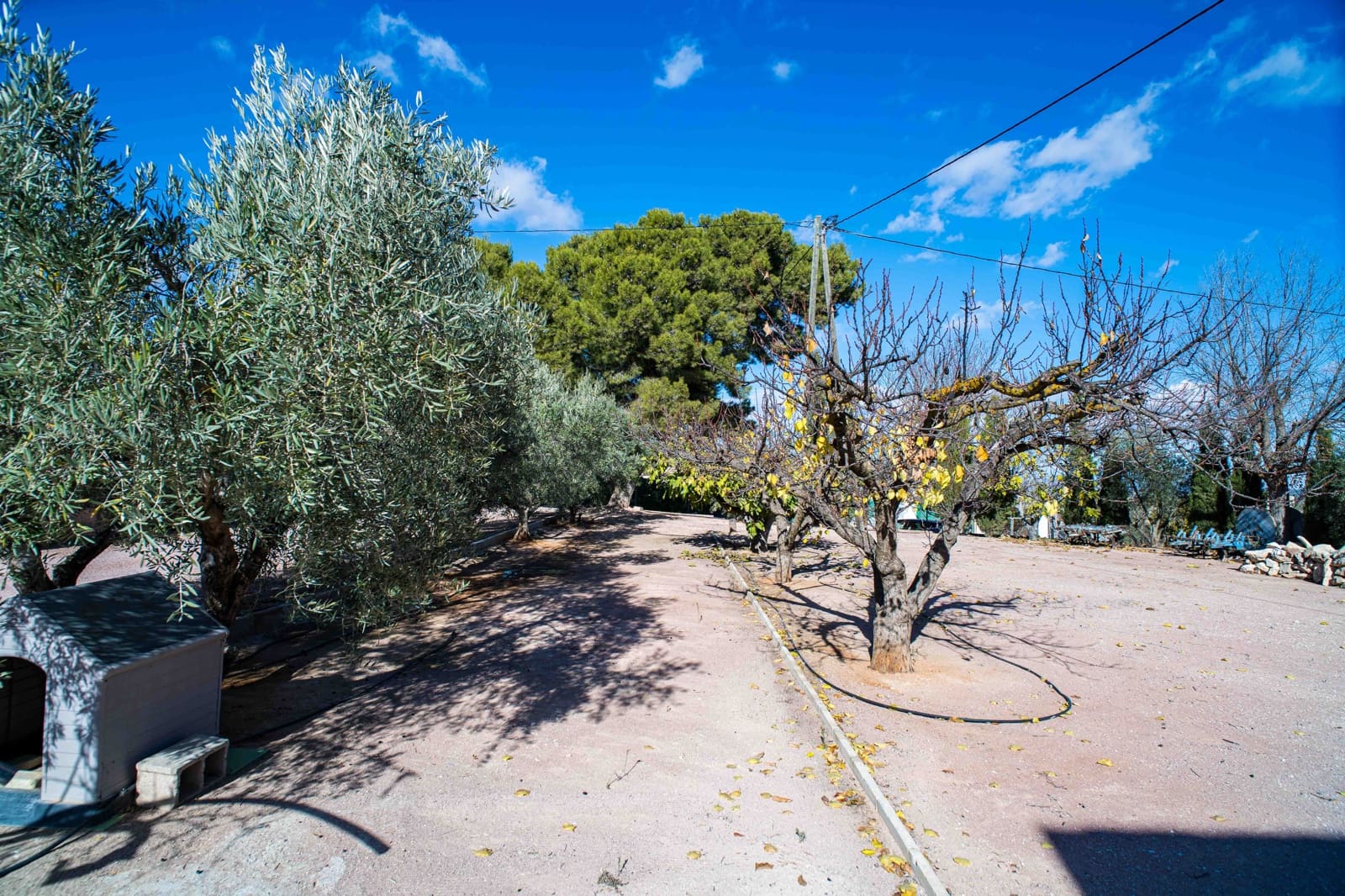 8 bedroom Finca/Country House for sale in Raspay with pool - € 300,000 (Ref: 9858784)