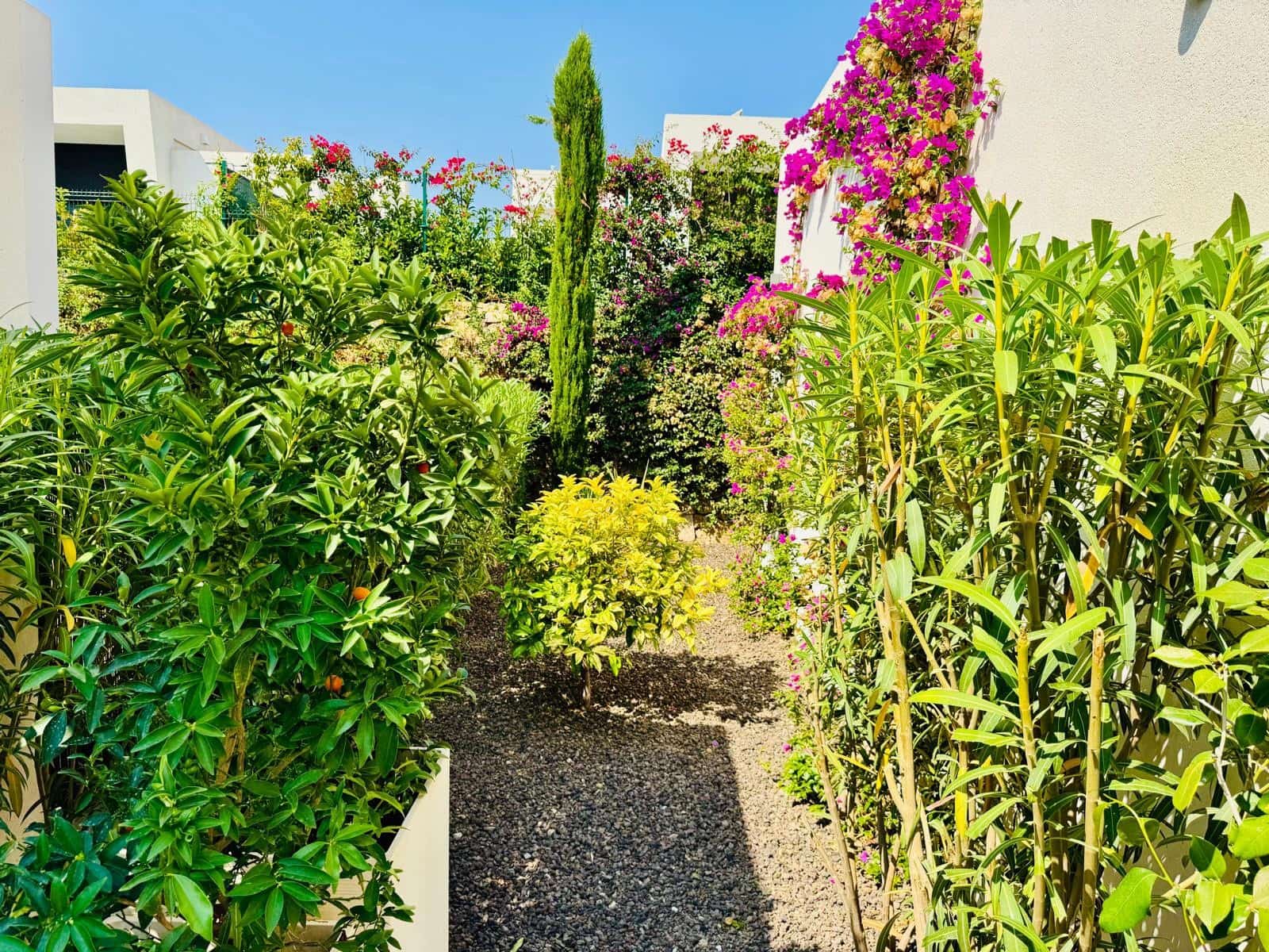 2 slaapkamer Villa te koop in Algorfa met zwembad - € 610.000 (Ref: 9858786)