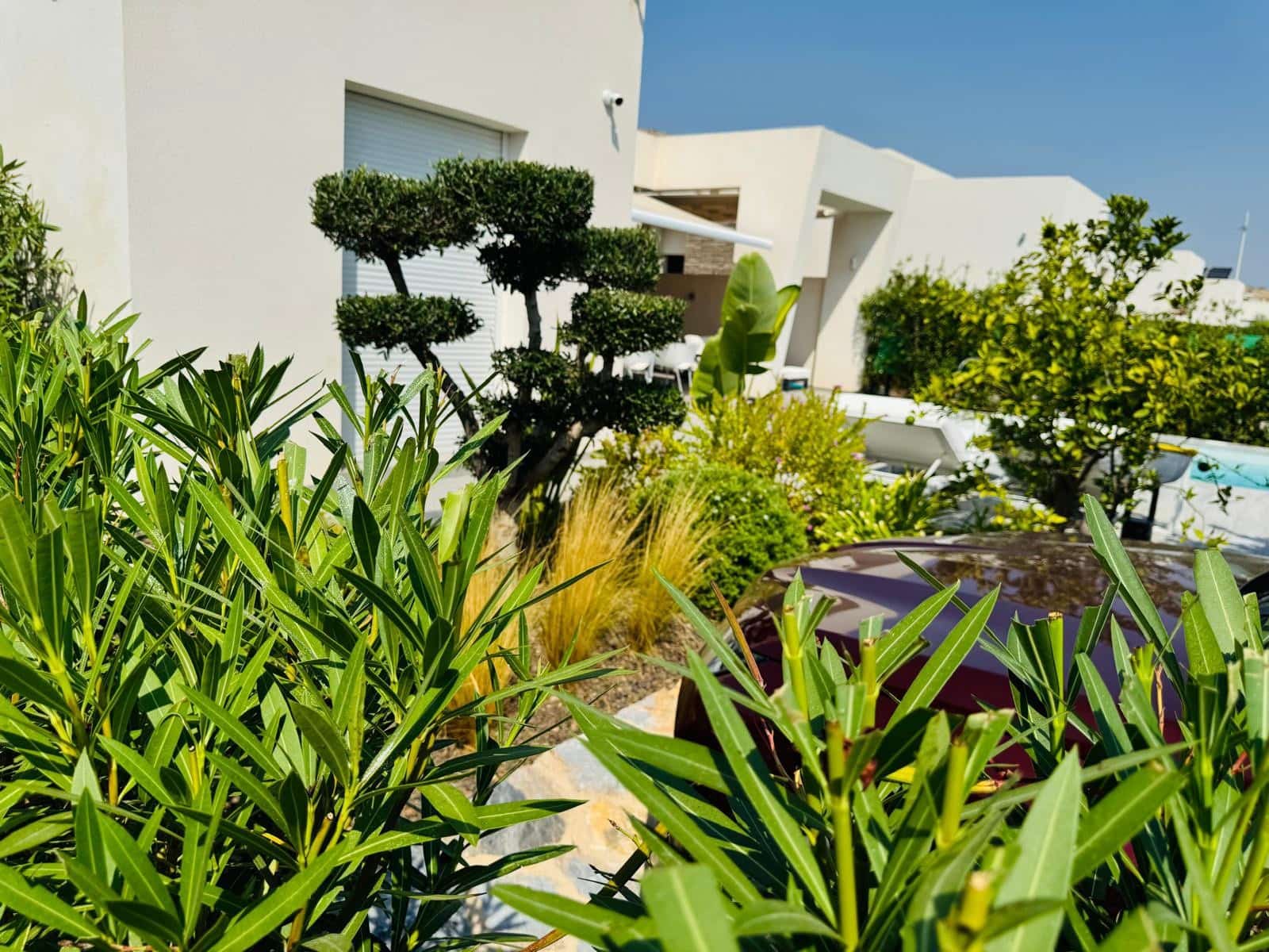 2 slaapkamer Villa te koop in Algorfa met zwembad - € 610.000 (Ref: 9858786)
