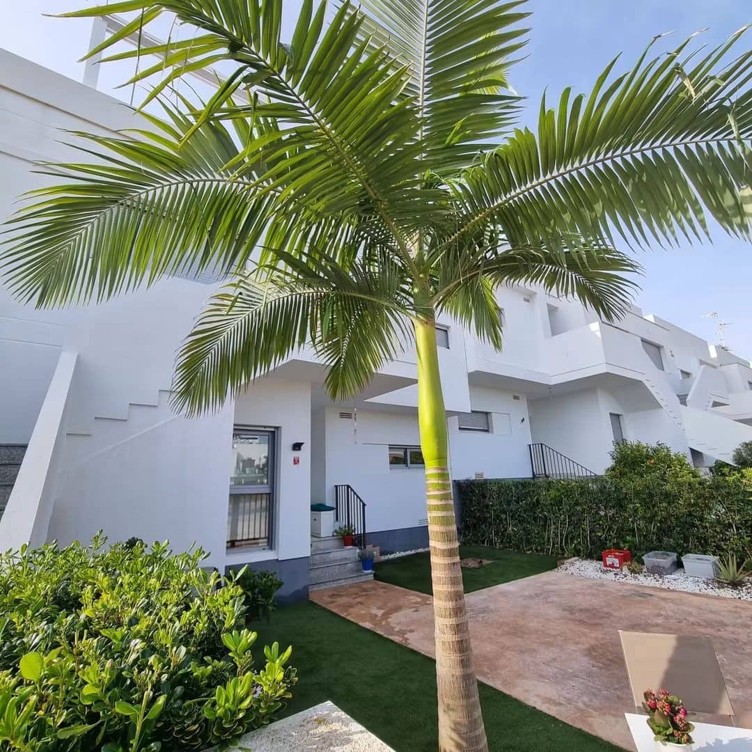 2 soverom Leilighet til salgs i Vistabella med svømmebasseng garasje - € 259 900 (Ref: 10009305)