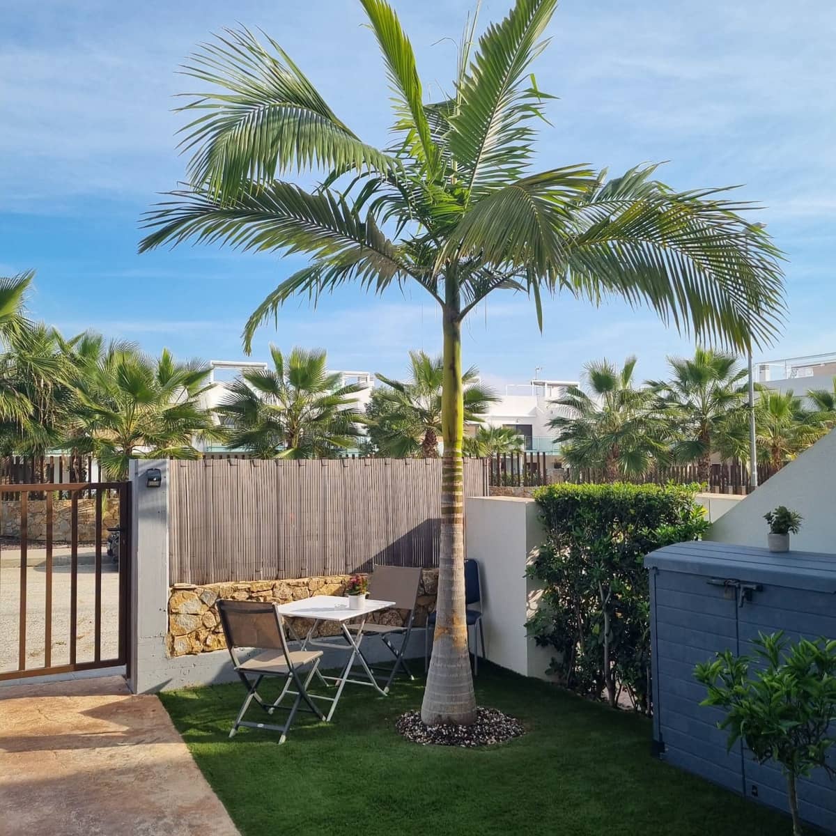 2 soverom Leilighet til salgs i Vistabella med svømmebasseng garasje - € 259 900 (Ref: 10009305)