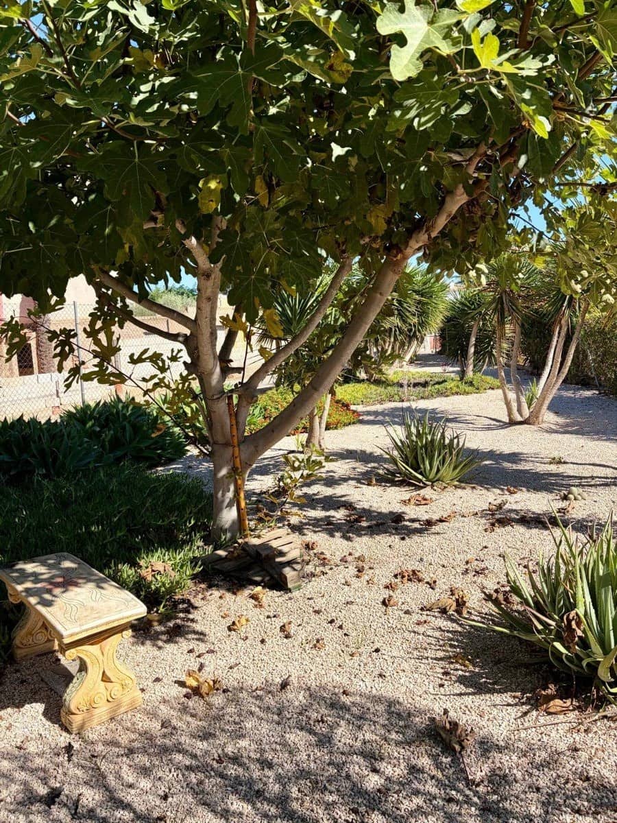 2 bedroom Apartment for sale in Orihuela with pool - € 115,000 (Ref: 10181977)