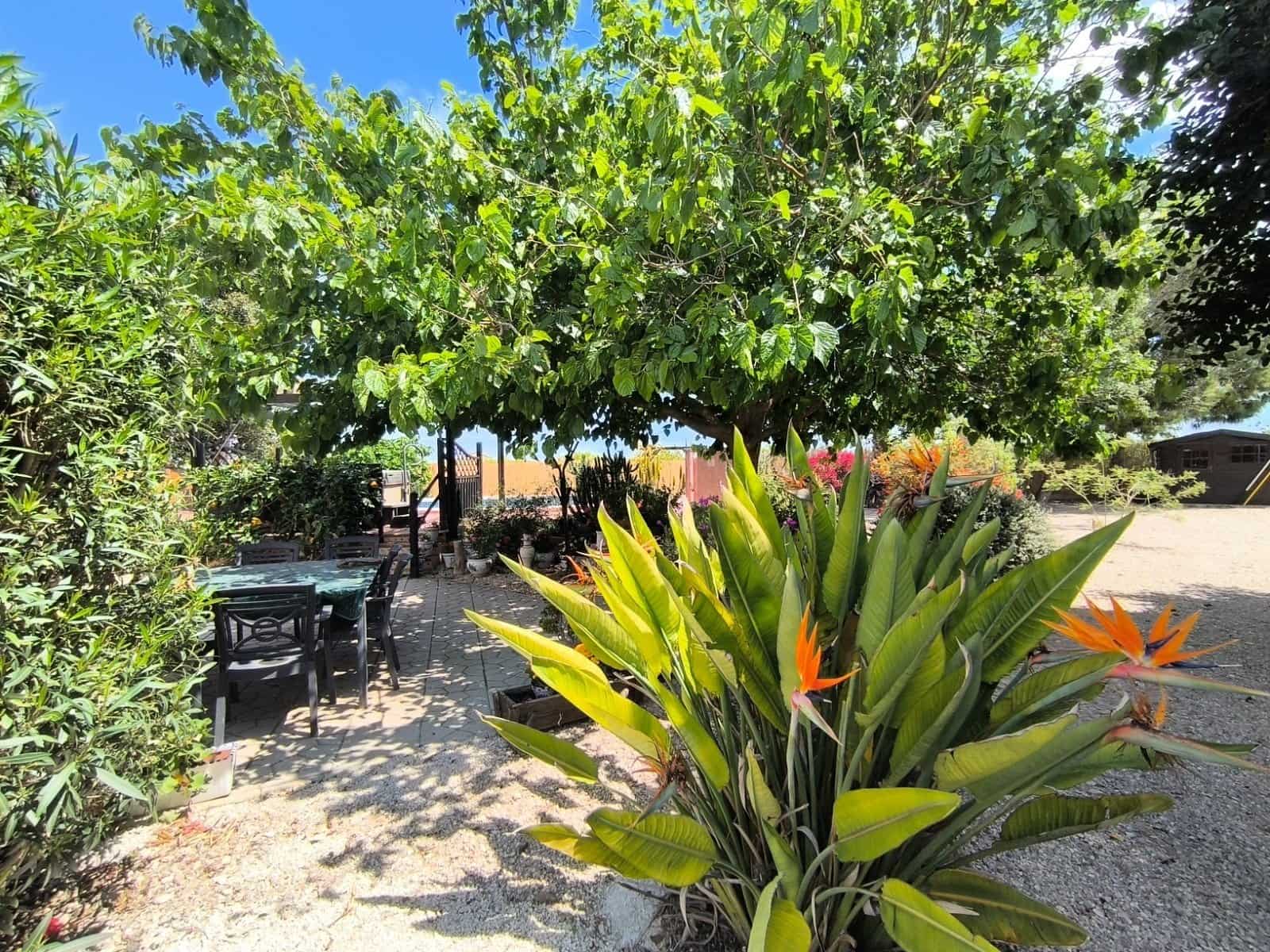 3 quarto Moradia para venda em Orihuela com piscina - 379 950 € (Ref: 8952062)