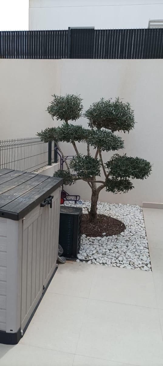 5 bedroom Villa for sale in Algorfa with pool garage - € 575,000 (Ref: 8971328)