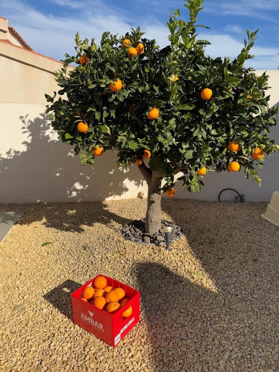 Chalet de 2 habitaciones en Ciudad Quesada en venta con piscina garaje - 340.000 € (Ref: 9006064)