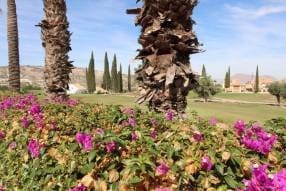 3 sypialnia Willa na sprzedaż w Algorfa z basenem garażem - 395 000 € (Ref: 9261865)