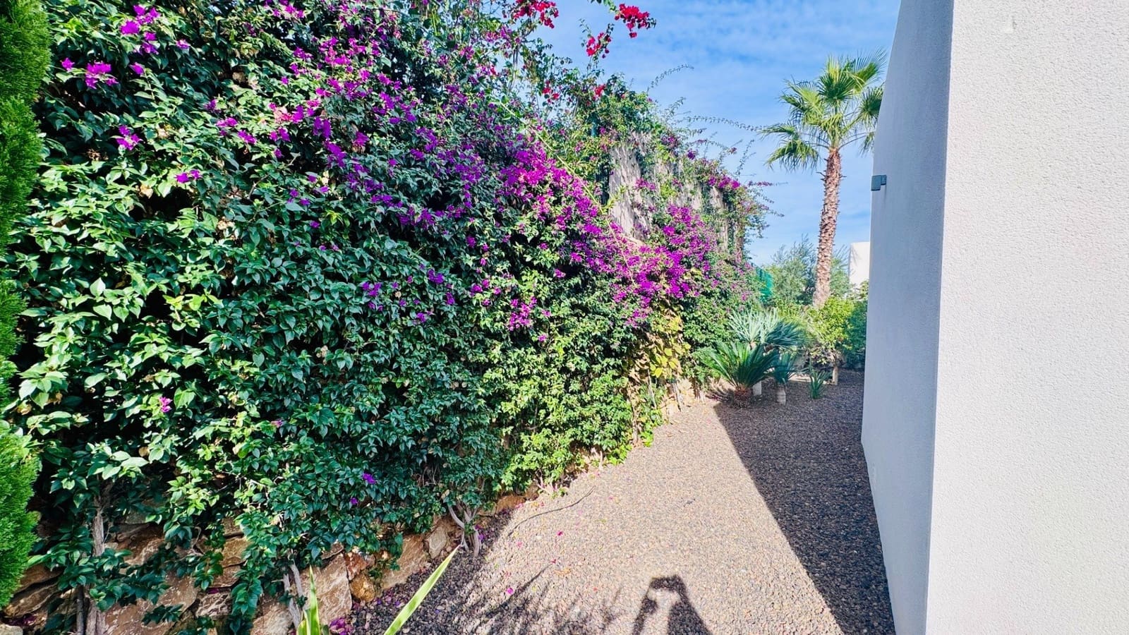 2 Zimmer Villa zu verkaufen in Algorfa mit Pool Garage - 660.000 € (Ref: 9343461)