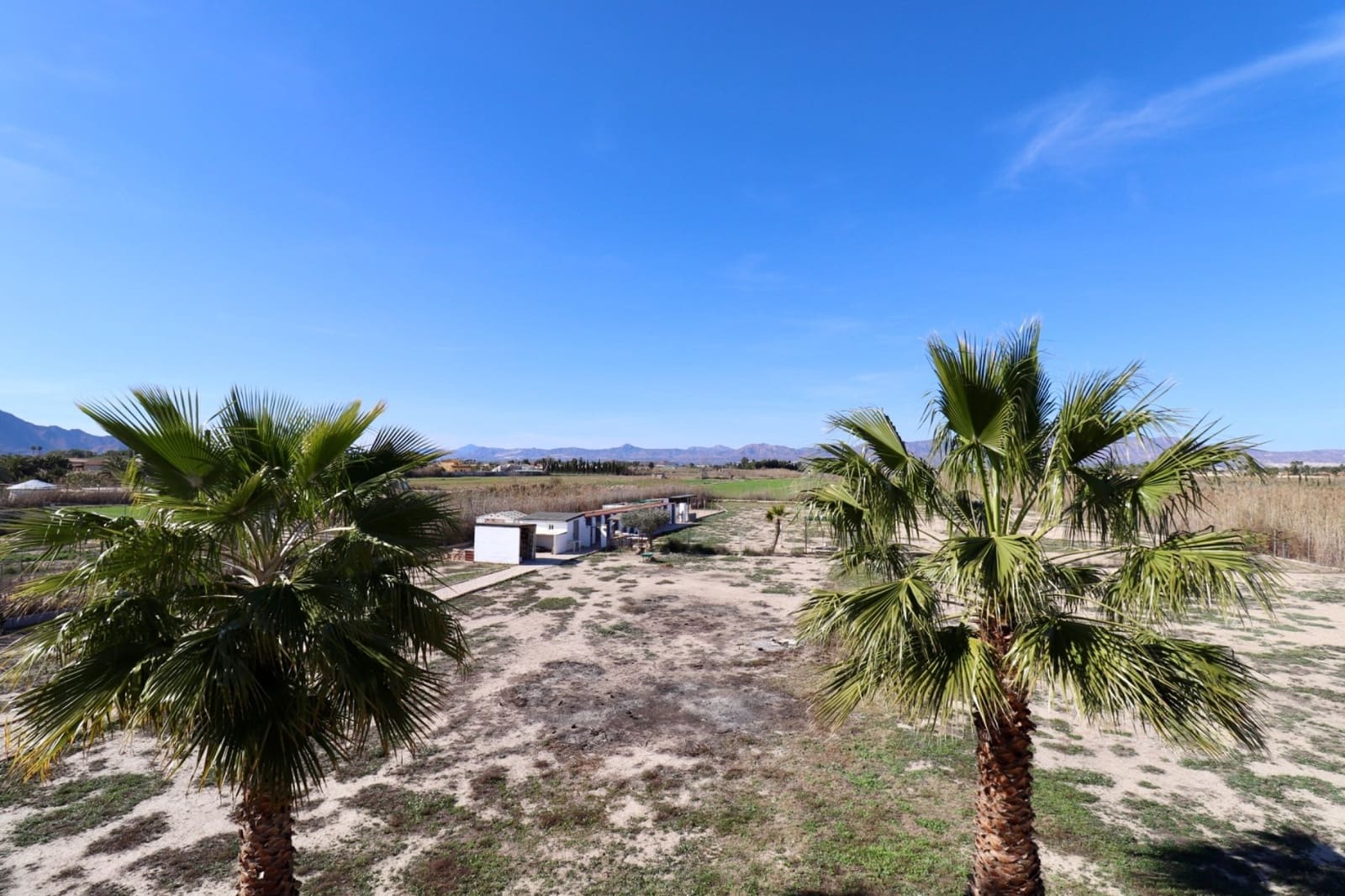 5 camera da letto Villa in vendita in Catral con piscina - 399.000 € (Rif: 9656761)