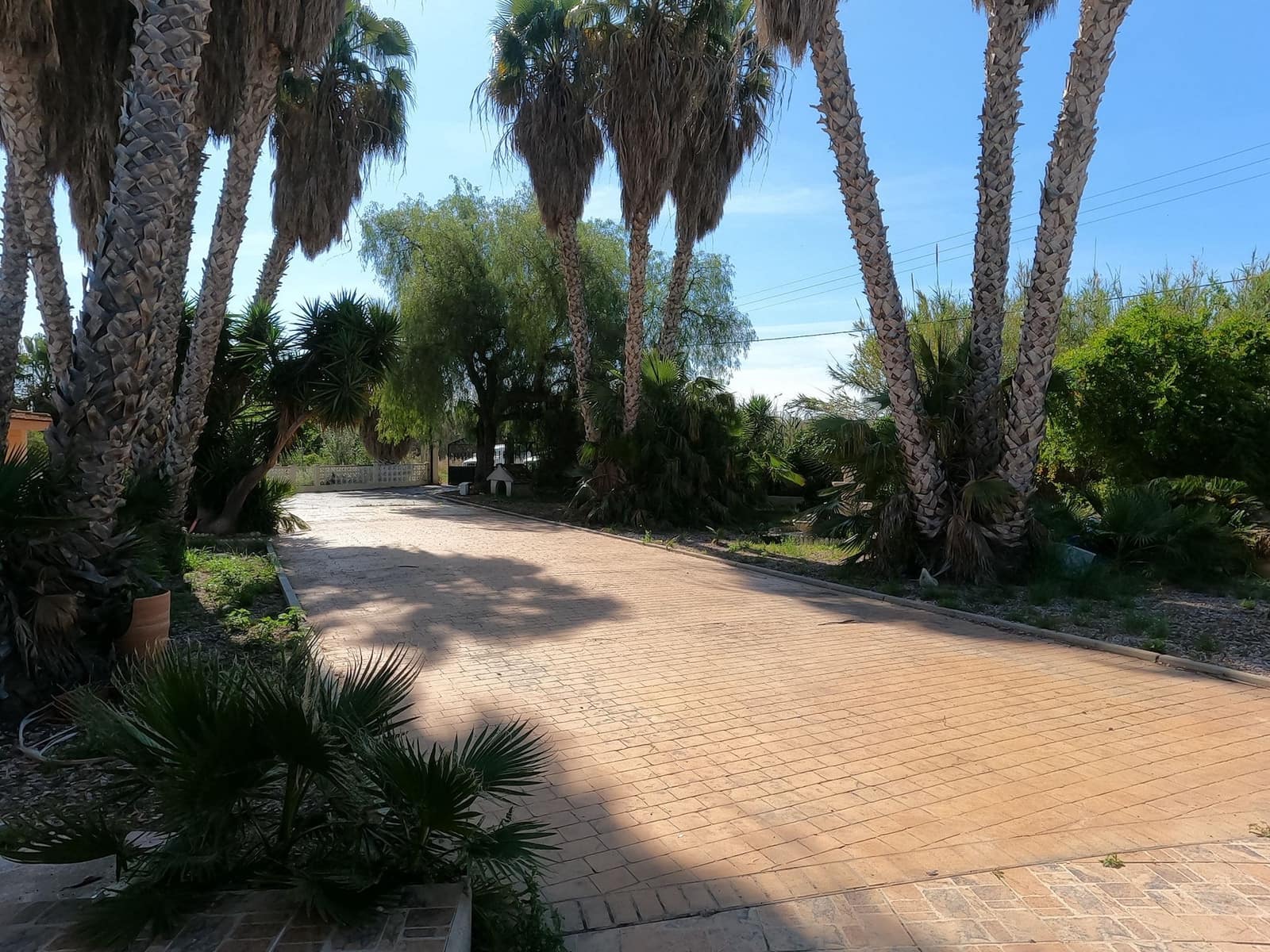 4 Zimmer Villa zu verkaufen in Dolores mit Pool Garage - 375.000 € (Ref: 9816256)