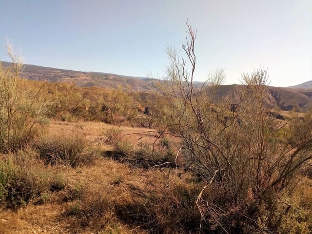 Landgrundstück zu verkaufen in Ugíjar - 50.000 € (Ref: 8209374)