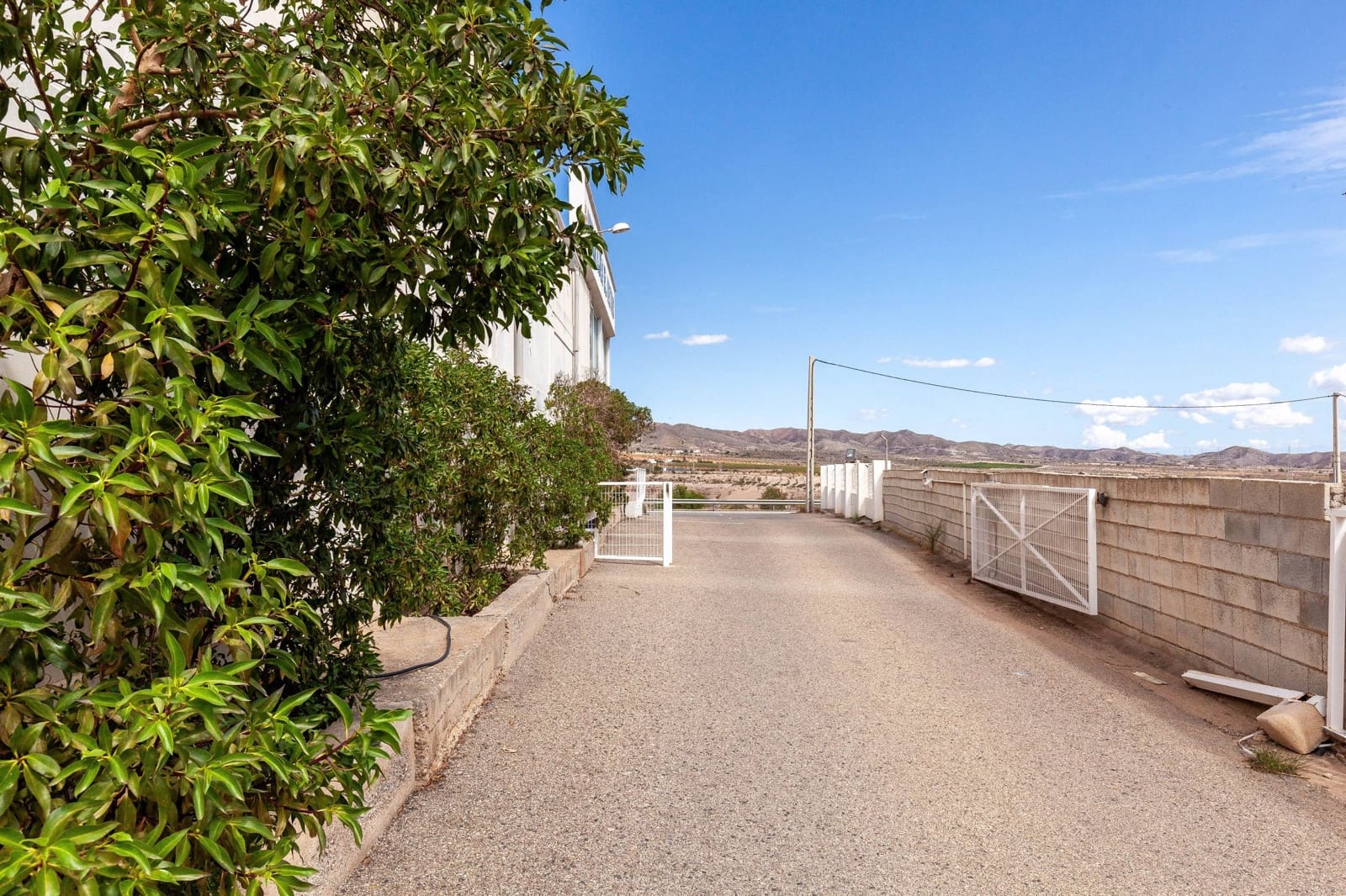 Yritys vuokrattavana paikassa Albox - 7 500 € (Ref: 8849501)