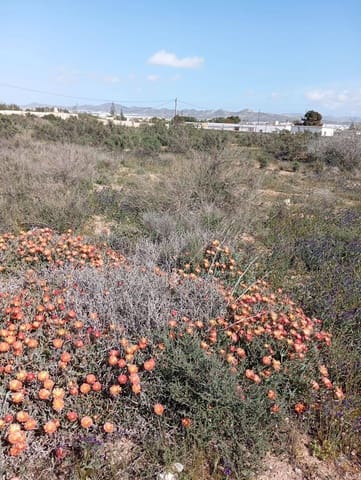 Grond te koop in Almería stad - € 200.880 (Ref: 9029488)