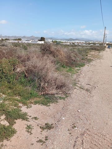 Undeveloped Land for sale in Almería city - € 200,880 (Ref: 9029488)