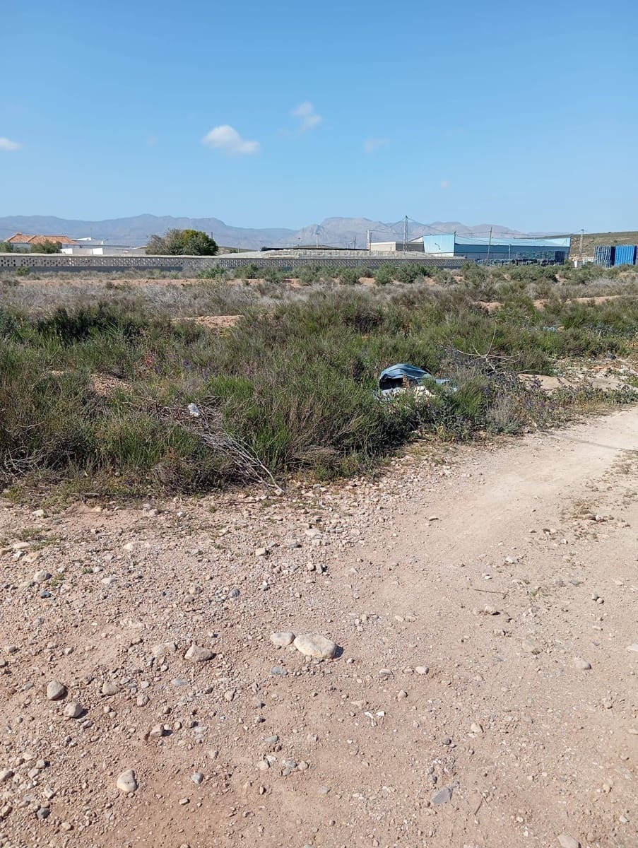 Teren niezagospodarowany na sprzedaż w Miasto Almeria - 130 000 € (Ref: 9029488)