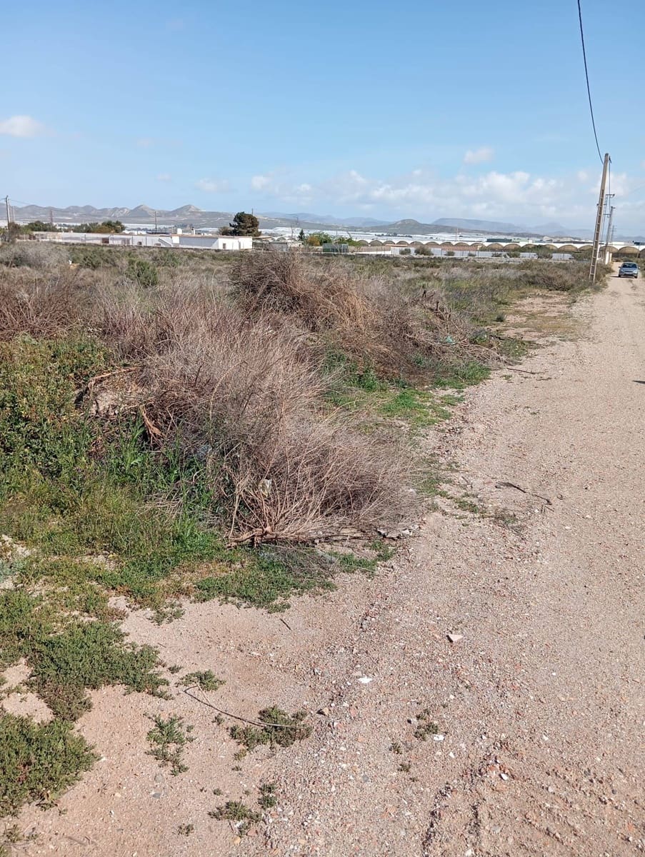 Teren niezagospodarowany na sprzedaż w Miasto Almeria - 130 000 € (Ref: 9029488)