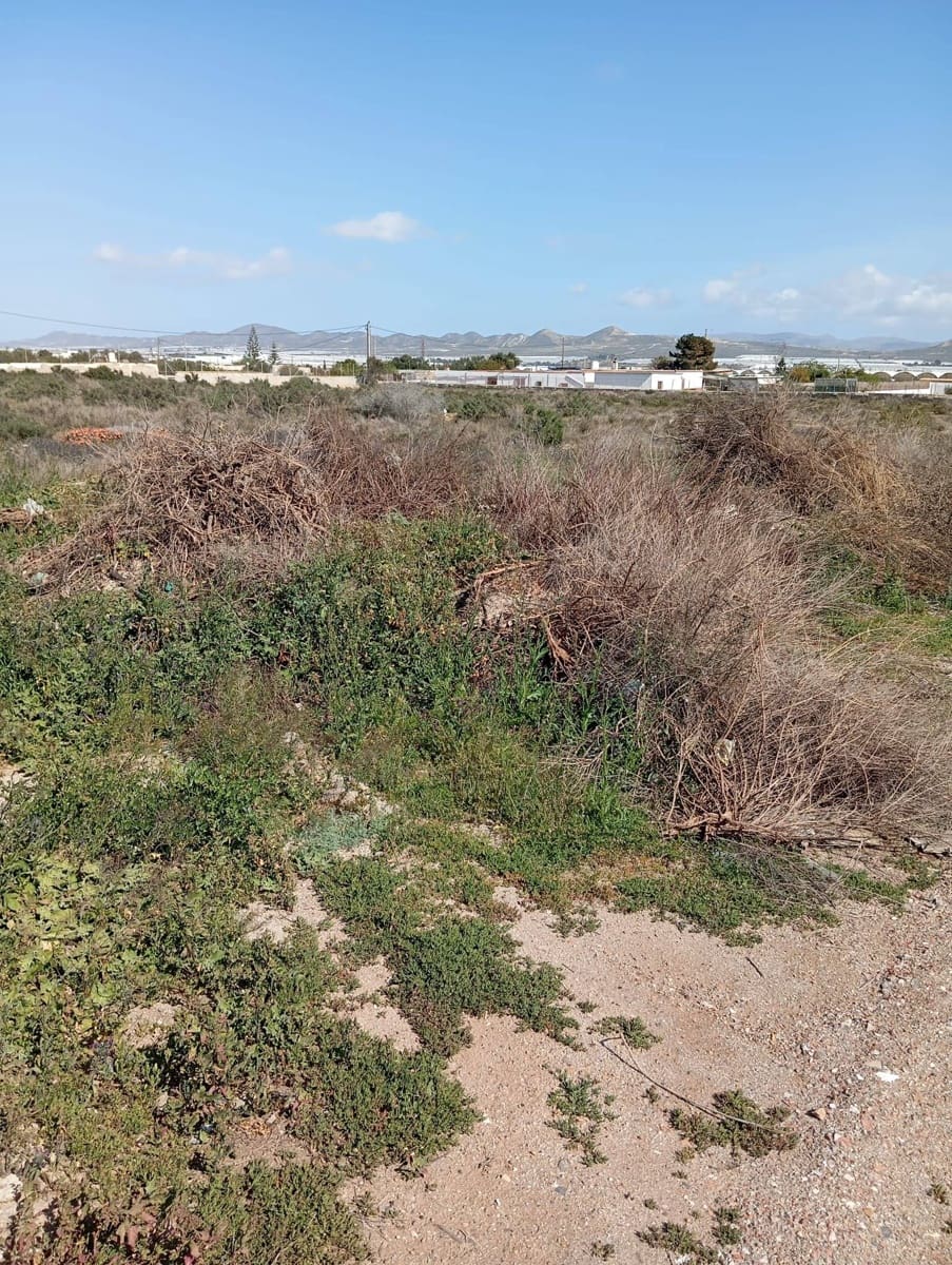 Teren niezagospodarowany na sprzedaż w Miasto Almeria - 130 000 € (Ref: 9029488)