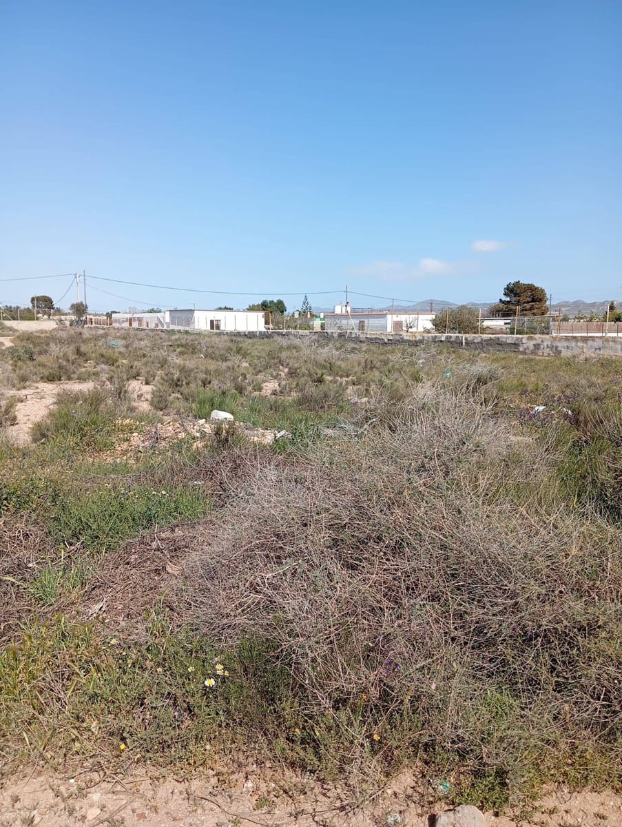 Terreno Não Urbanizado para venda em Almeria cidade - 130 000 € (Ref: 9029488)