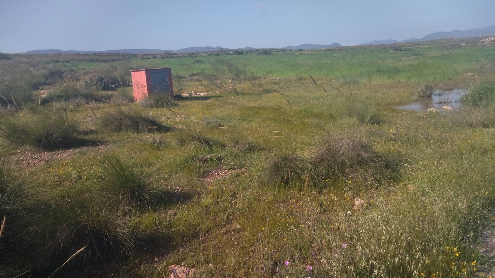 Teren niezagospodarowany na sprzedaż w Campohermoso - 699 000 € (Ref: 9952609)