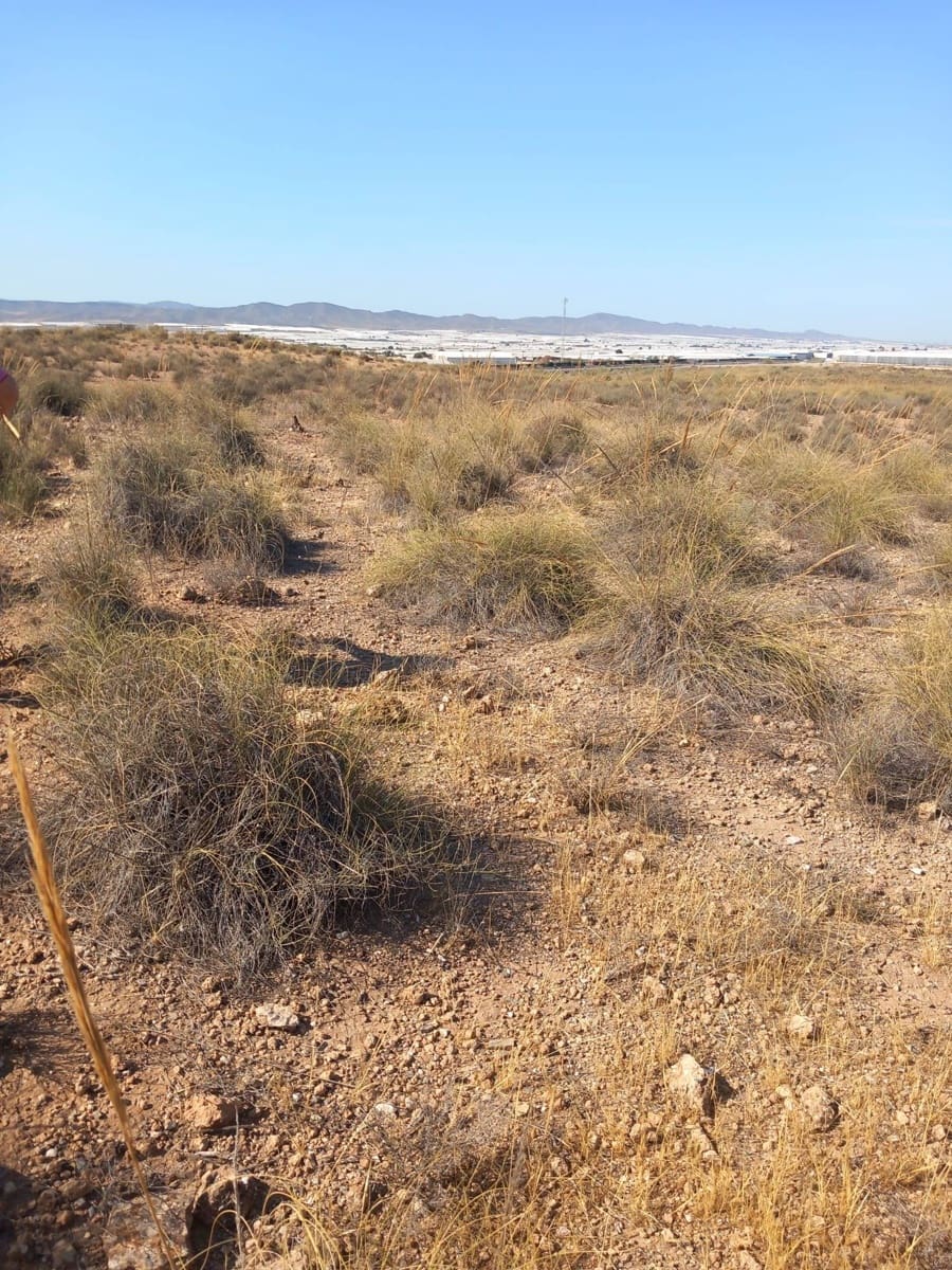Grond te koop in Campohermoso - € 699.000 (Ref: 9952609)