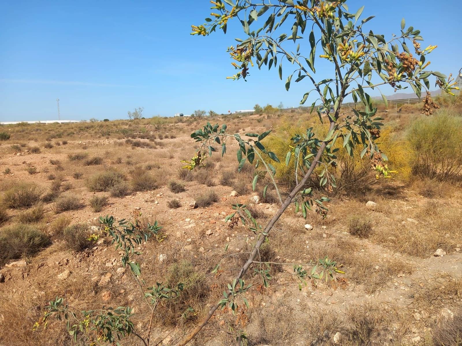 Grond te koop in Campohermoso - € 699.000 (Ref: 9952609)