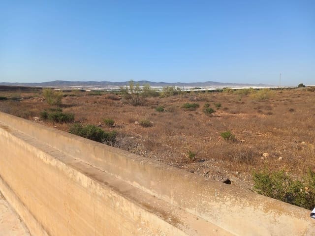 Terre non Aménagée à vendre à Campohermoso, Níjar - 699 000 € (Ref: 9952609)