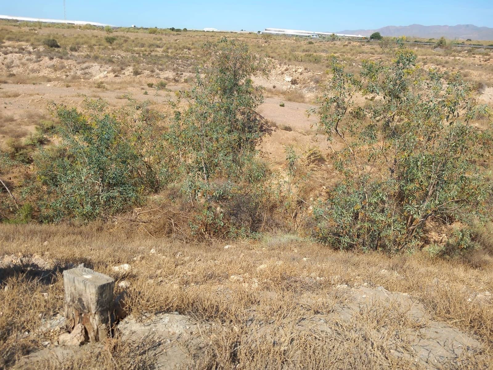 Grond te koop in Campohermoso - € 699.000 (Ref: 9952609)