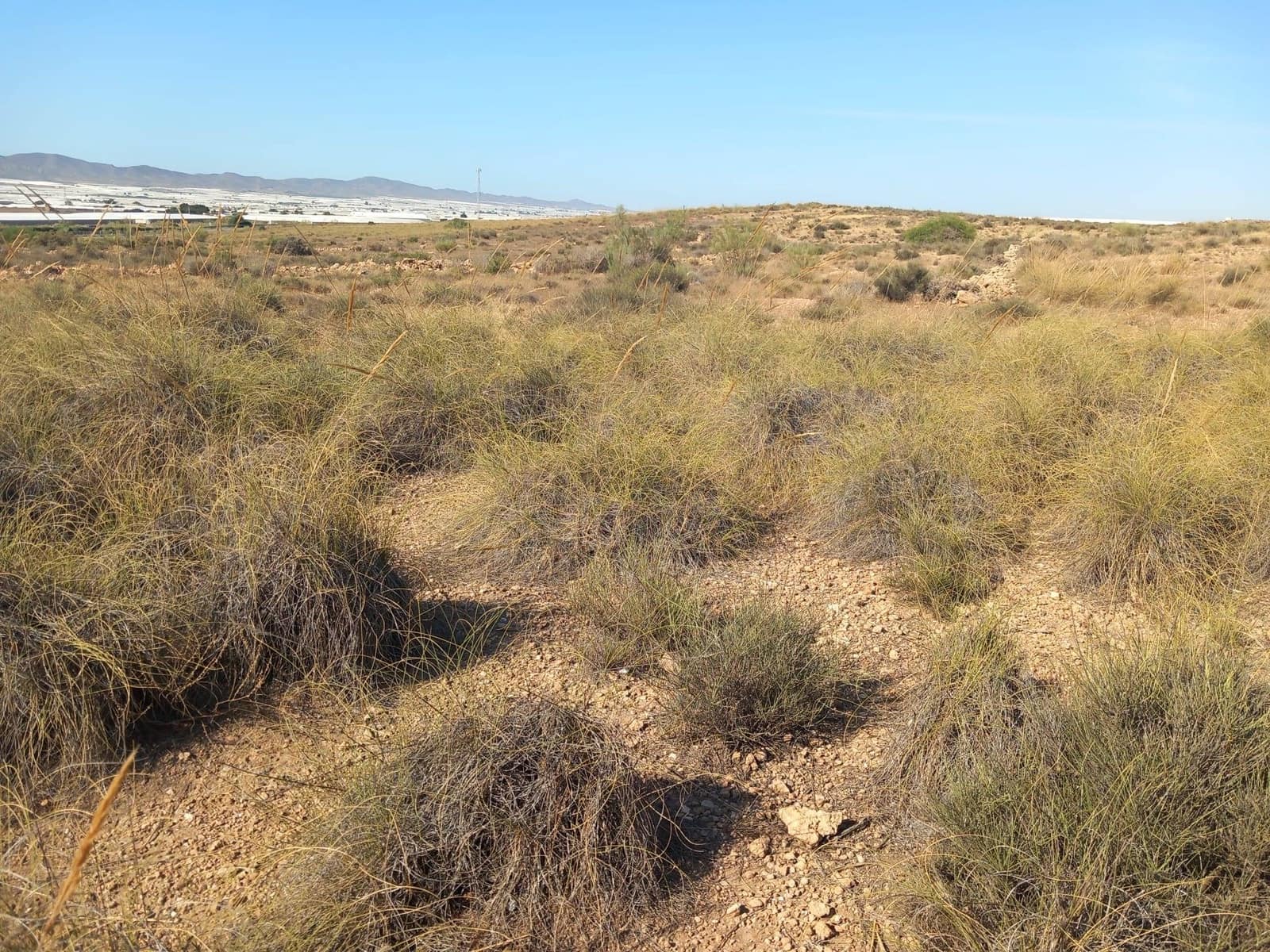 Grond te koop in Campohermoso - € 699.000 (Ref: 9952609)