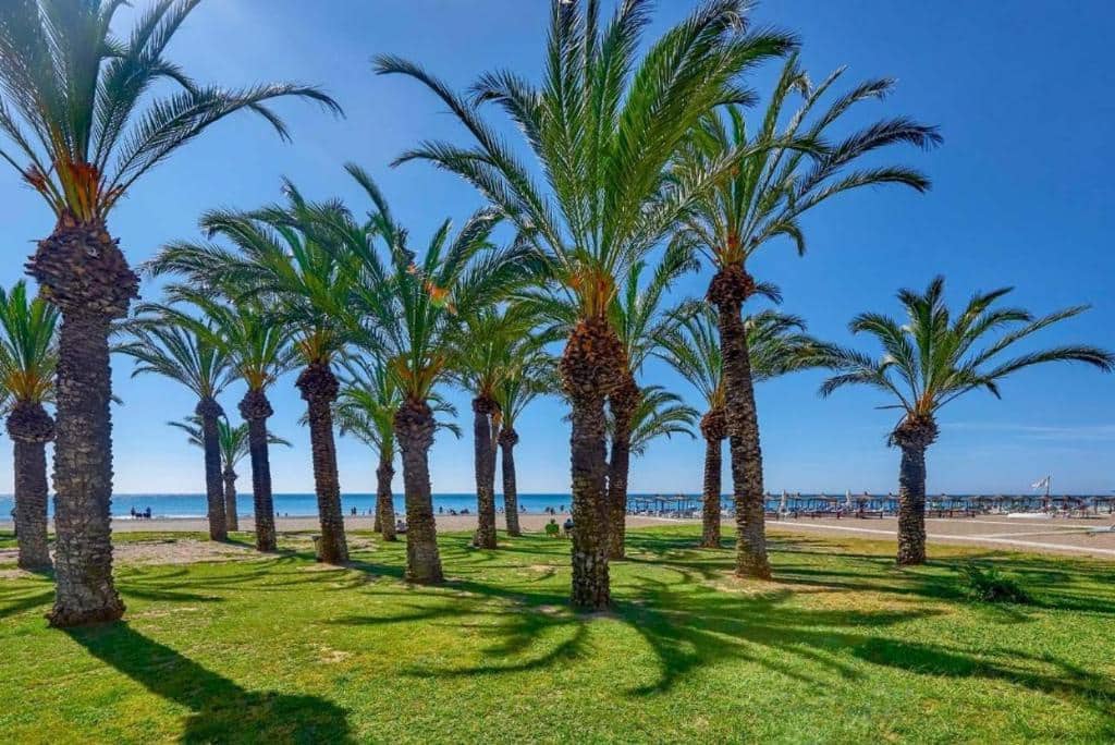 Studio zu verkaufen in Torremolinos - 270.000 € (Ref: 10080463)